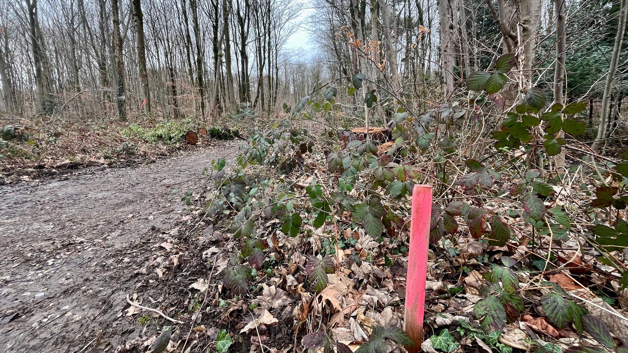 Rot markierte Stecken verunsichern Anwohner am Grünen Weg.