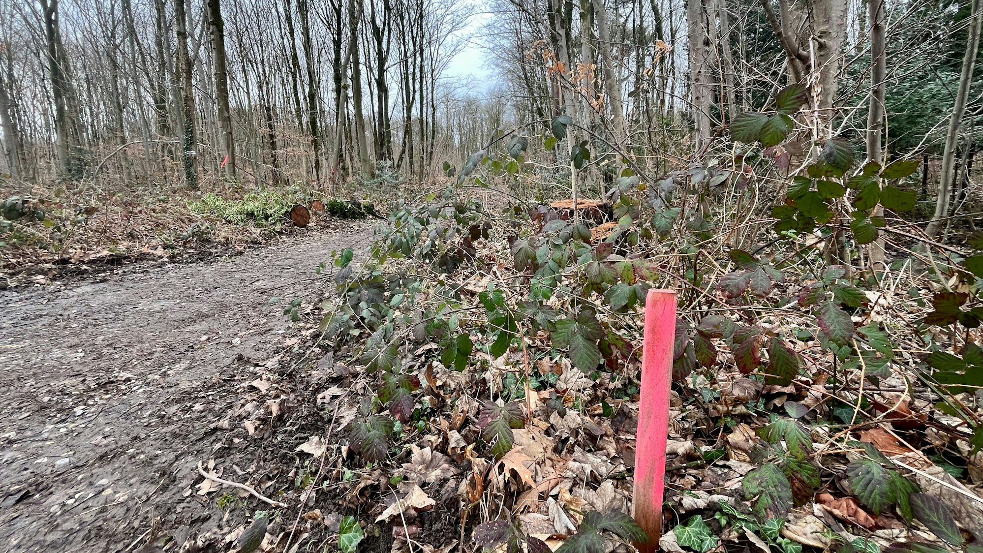 Rot markierte Stecken verunsichern Anwohner am Grünen Weg.