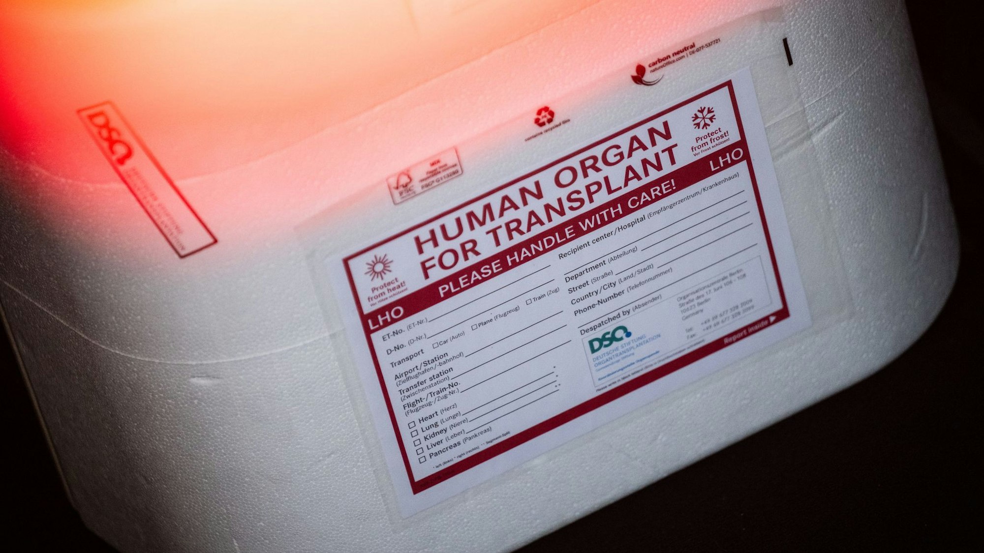 Die Ersatzorgane werden in einer Kühlbox transportiert. (Symbolbild)