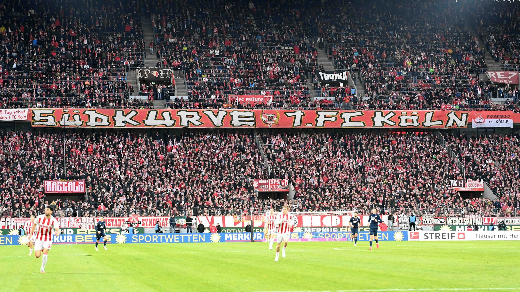 Fans des 1. FC Köln schauen im Stadion ein Spiel des Klubs.