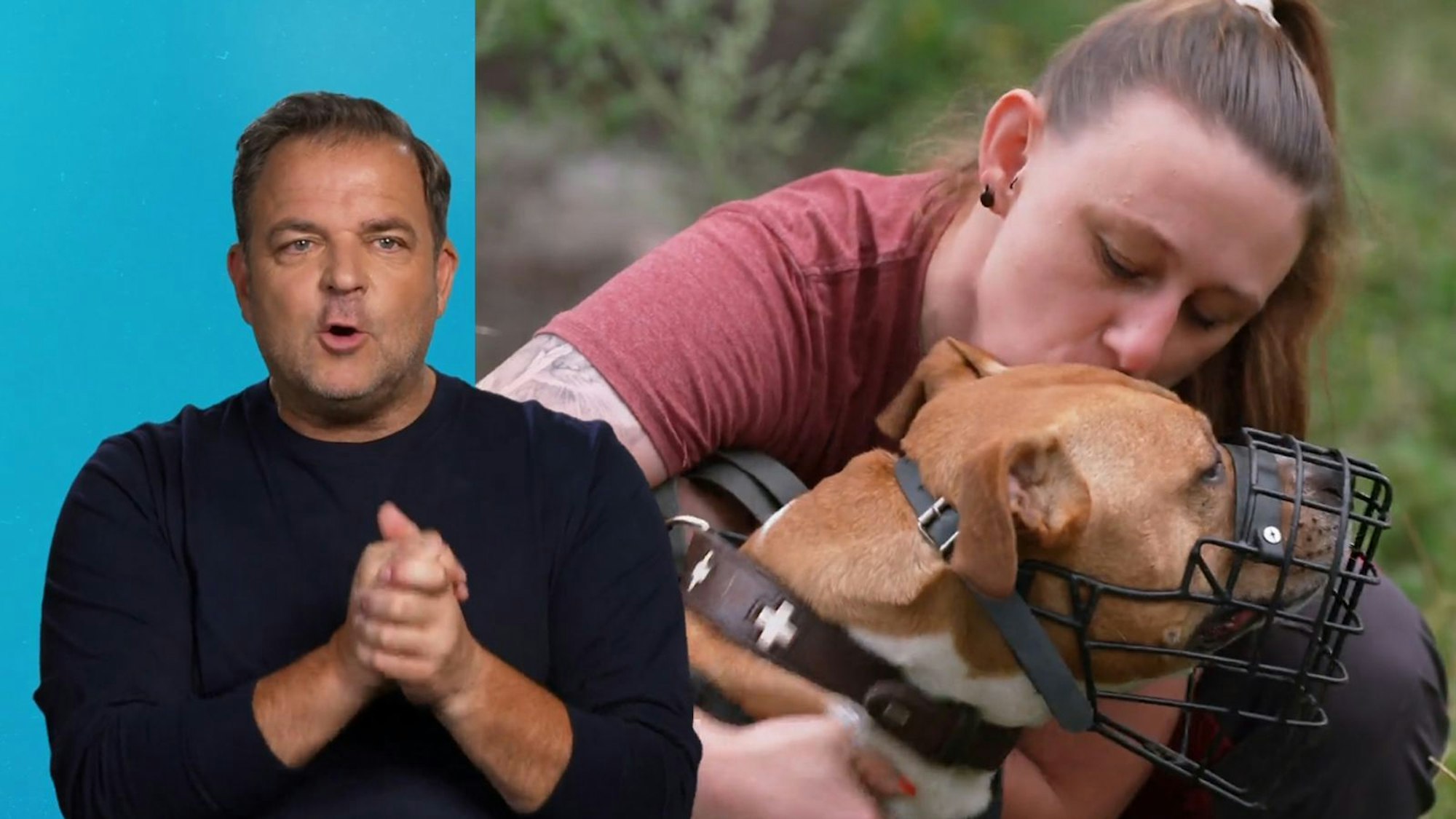 Hundetrainer Martin Rütter sucht ein Zuhause für Geronimo (11). (Bild: RTL)