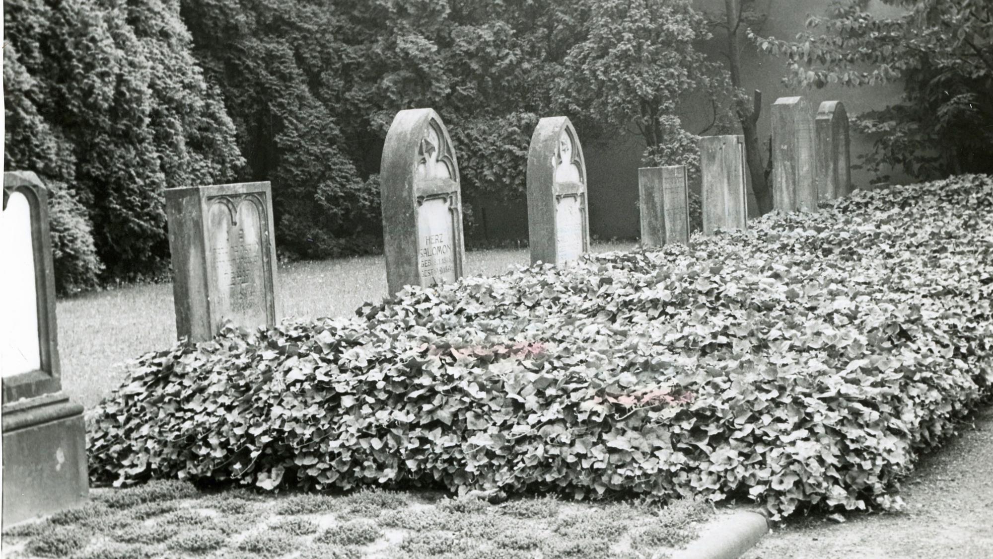 Historische Aufnahme des jüdischen Friedhofs in Opladen.