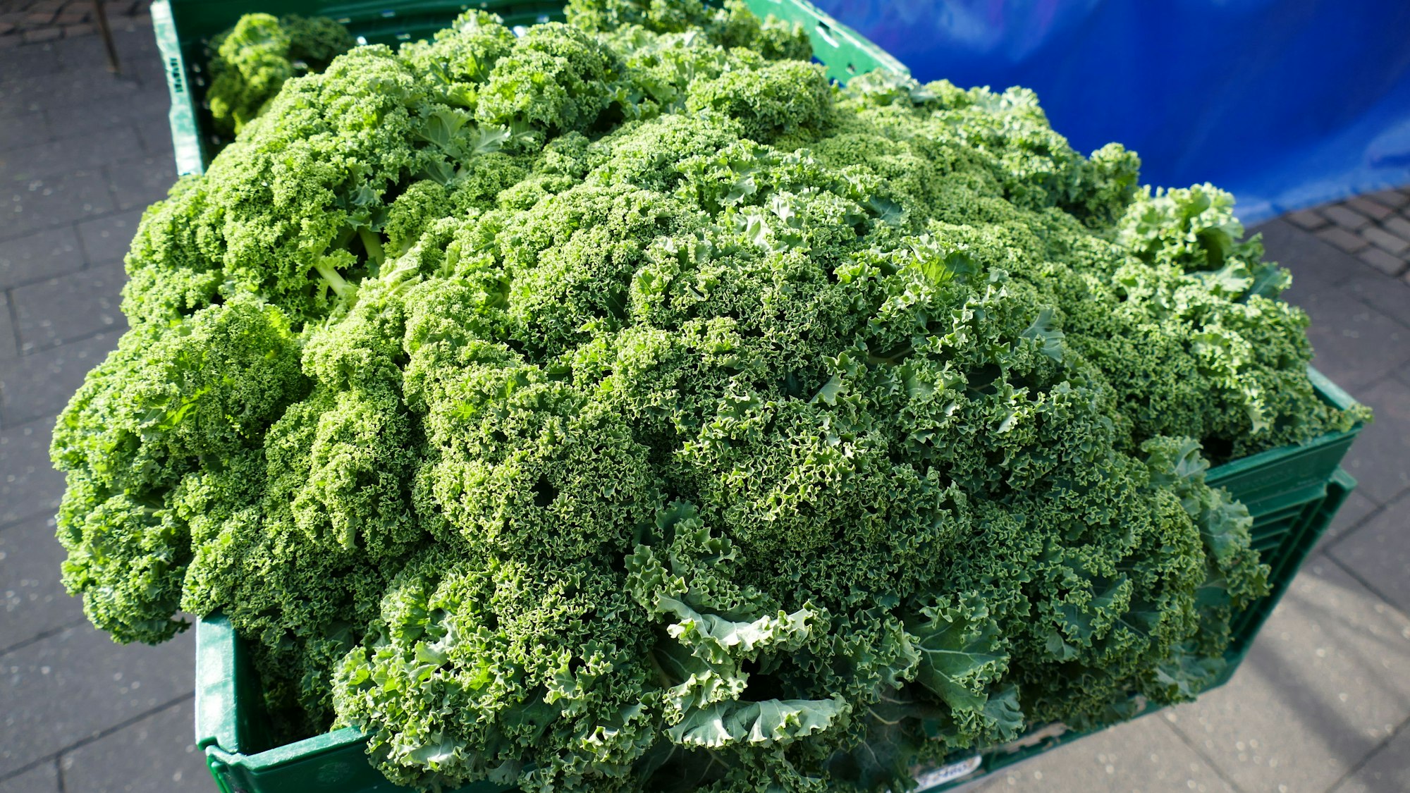 Grünkohlmin einem Einkaufskorb.