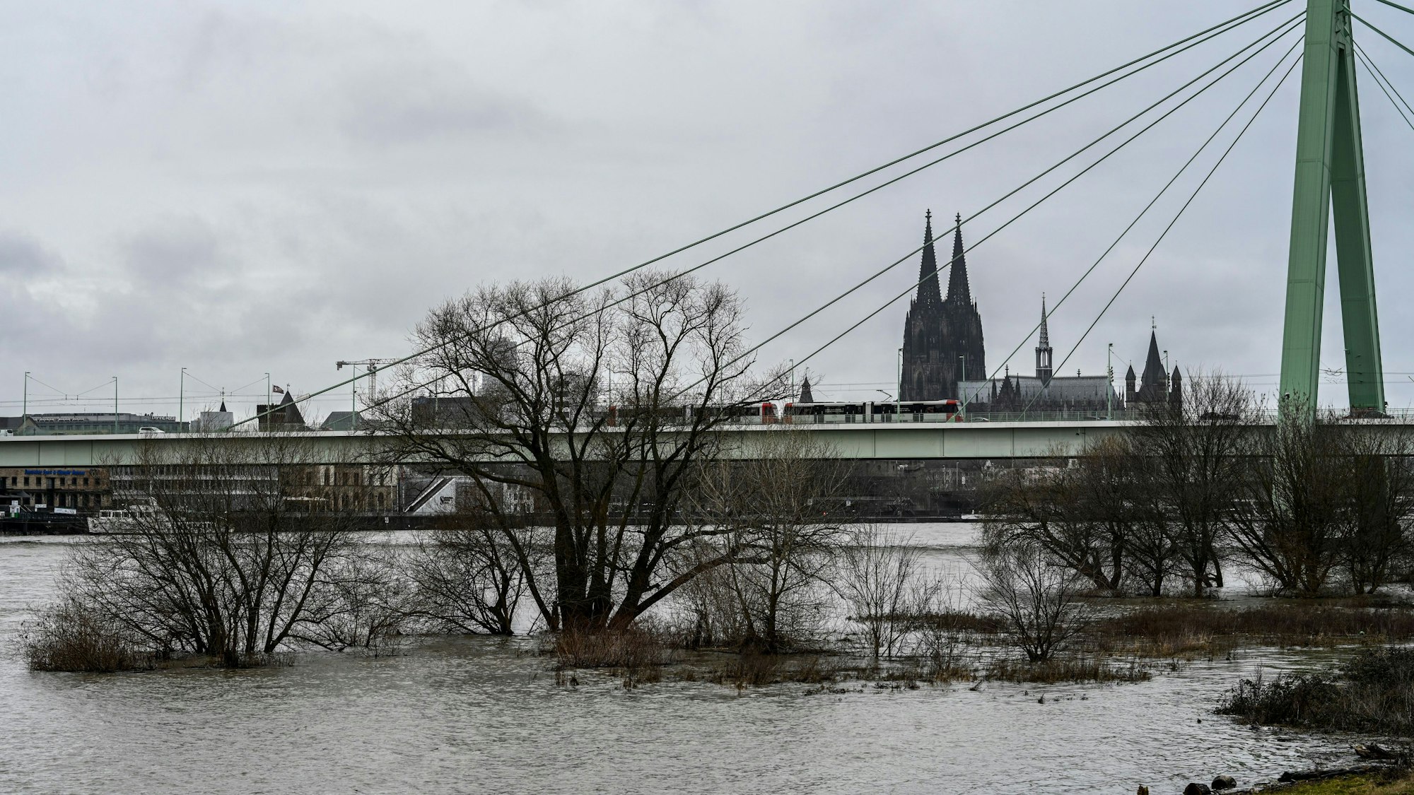 Die Poller Wiesen sind überschwemmt. Der Rhein führt Hochwasser. (Foto vom 21. Februar)