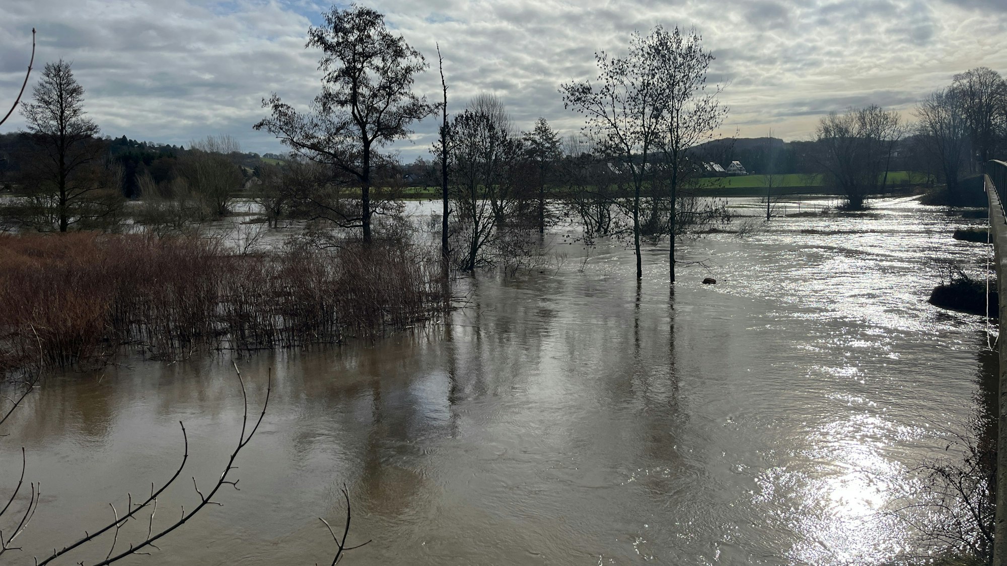 Die Sieg bei Hennef-Weldergoven führt reichlich Hochwasser, die Aue gleicht einem großen See.