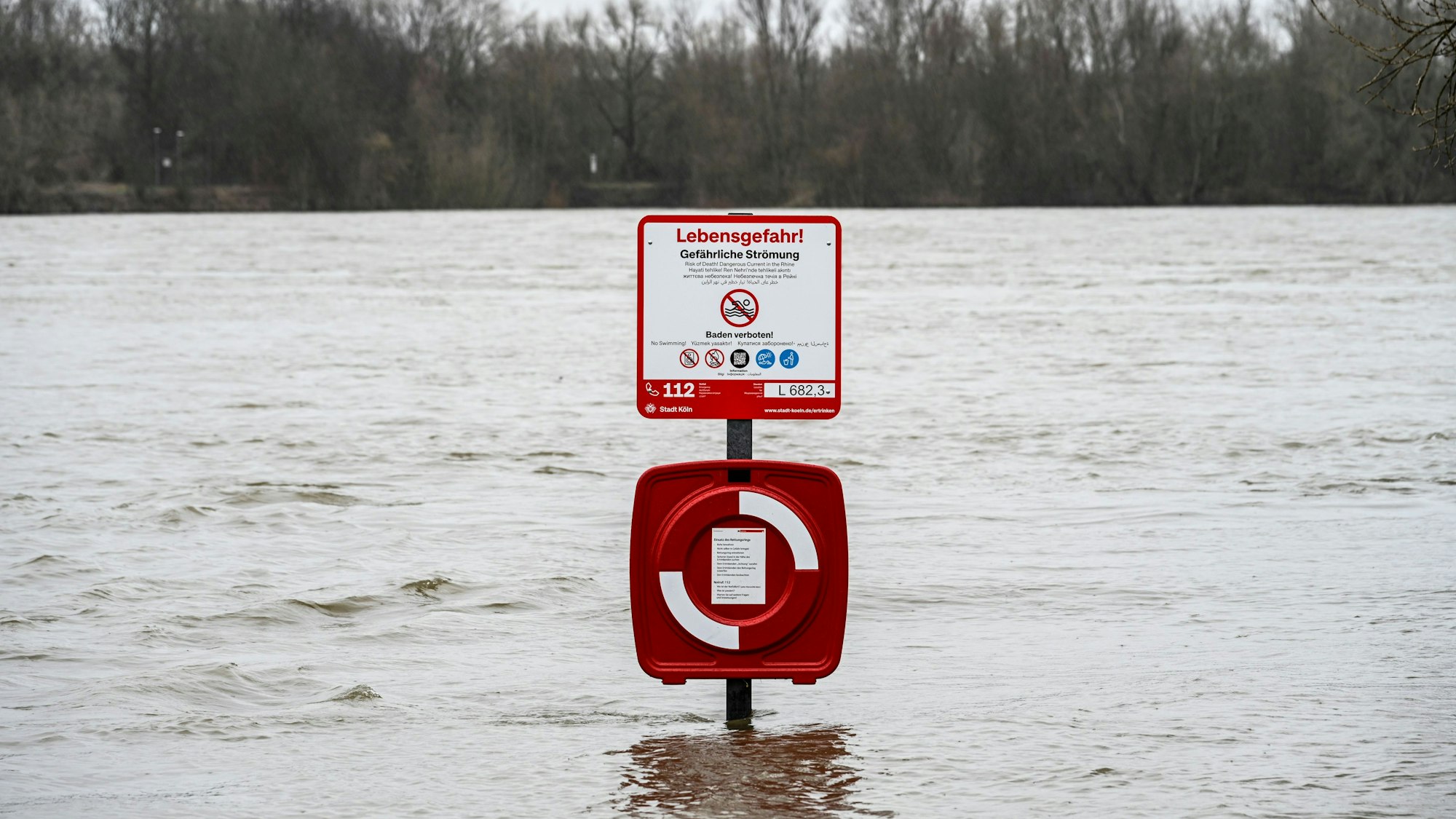 Der Rettungsring in Rodenkirchen ist nur schwimmend zu erreichen.