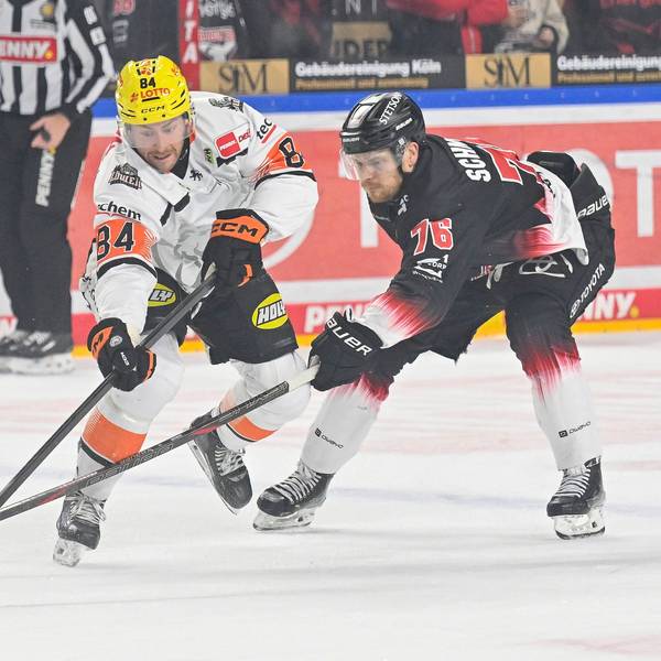 Eishockey DEL - 25/26 - 44. Spieltag: Kölner Haie vs Löwen Frankfurt am 27.01.2026 in der LANXESS arena in Köln Kölns Nate Schnarr Nr.76 gegen Frankfurts Chris Wilkie Nr.84 *** Ice Hockey DEL 25 26 44 Matchday Kölner Haie vs Löwen Frankfurt on 27 01 2026 at the LANXESS arena in Cologne Nate Schnarr Nr 76 vs Frankfurts Chris Wilkie Nr 84 WD