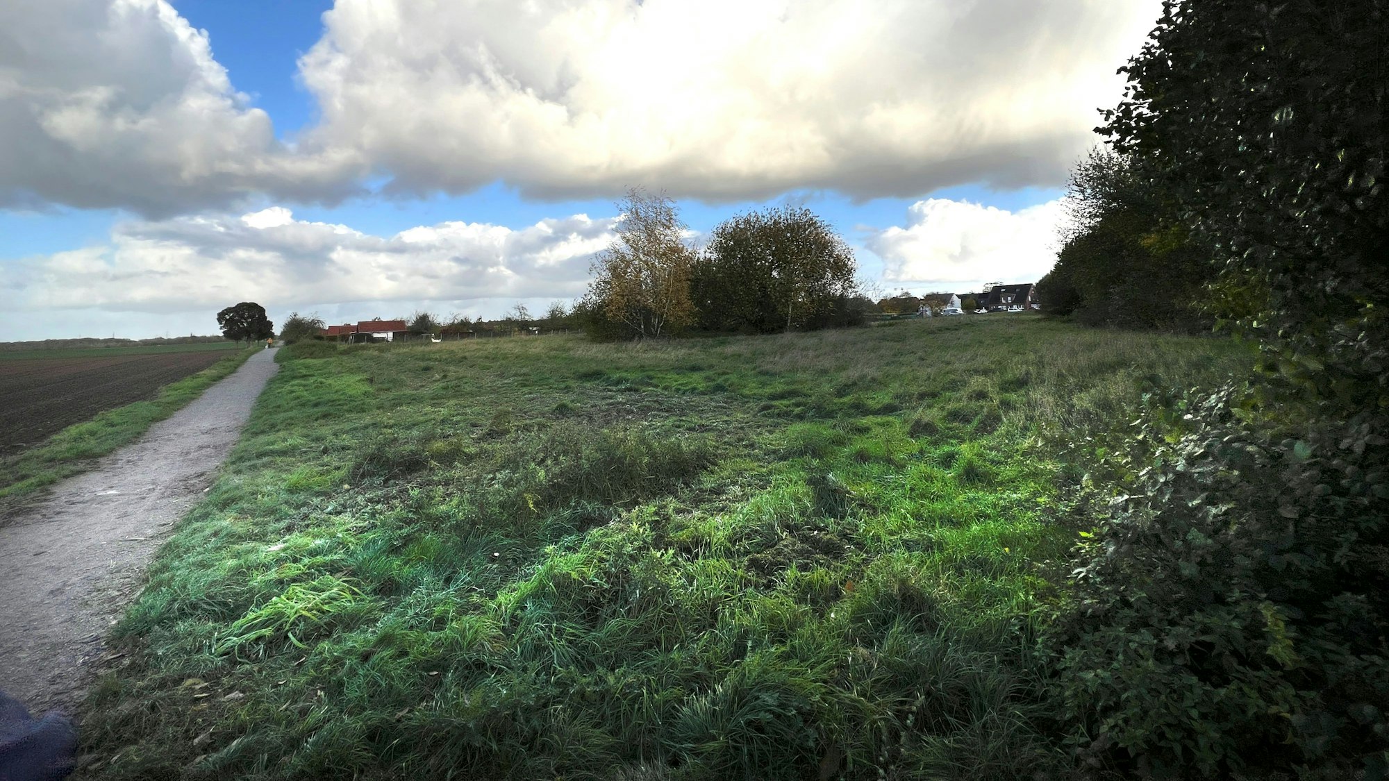 Bauplatz für die geplante Paeschke-Kita an der Weinhäuser Straße. Foto: Ralf Krieger