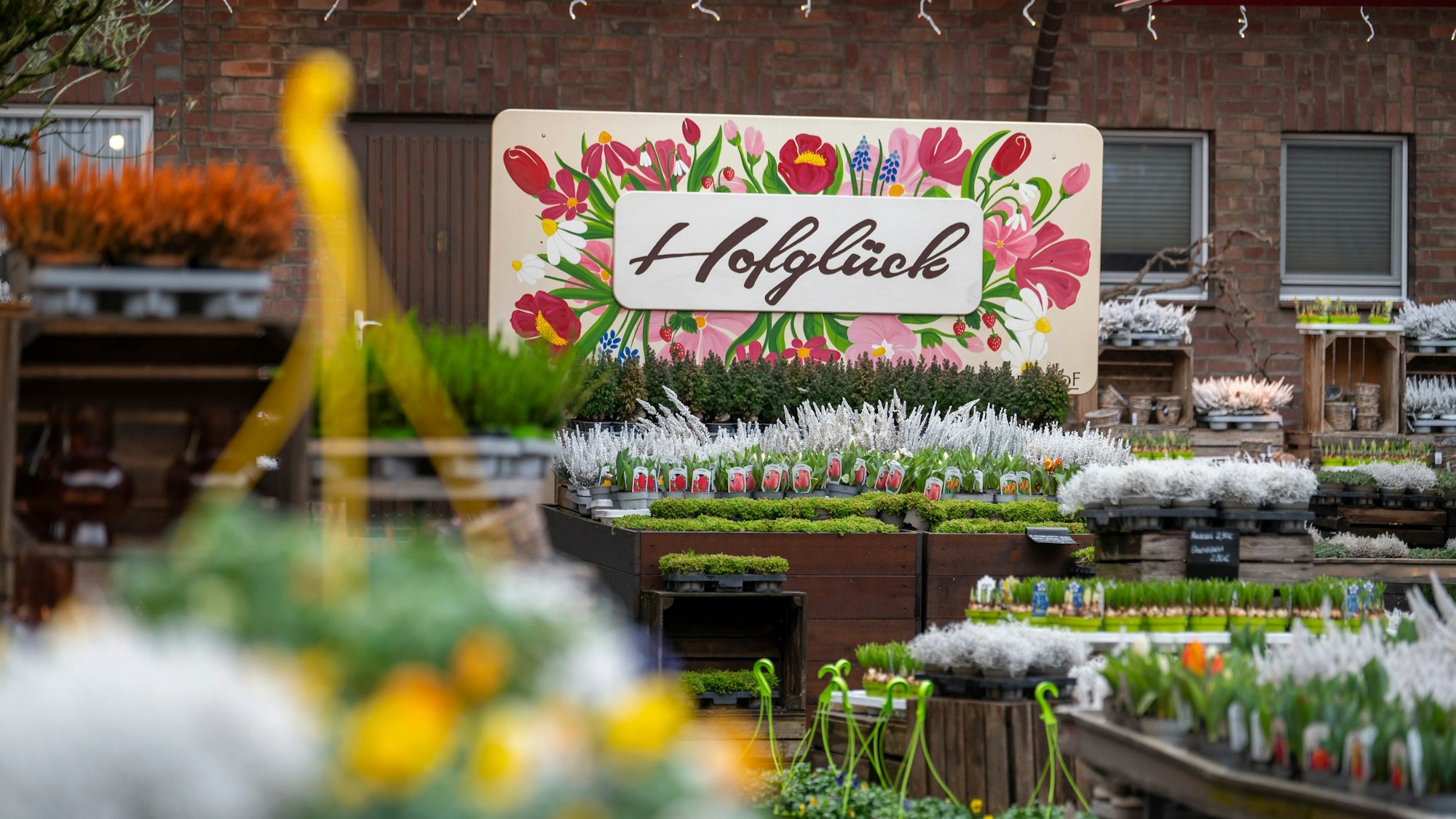 Der Gertrudenhof bietet auch Pflanzen zum Verkauf.