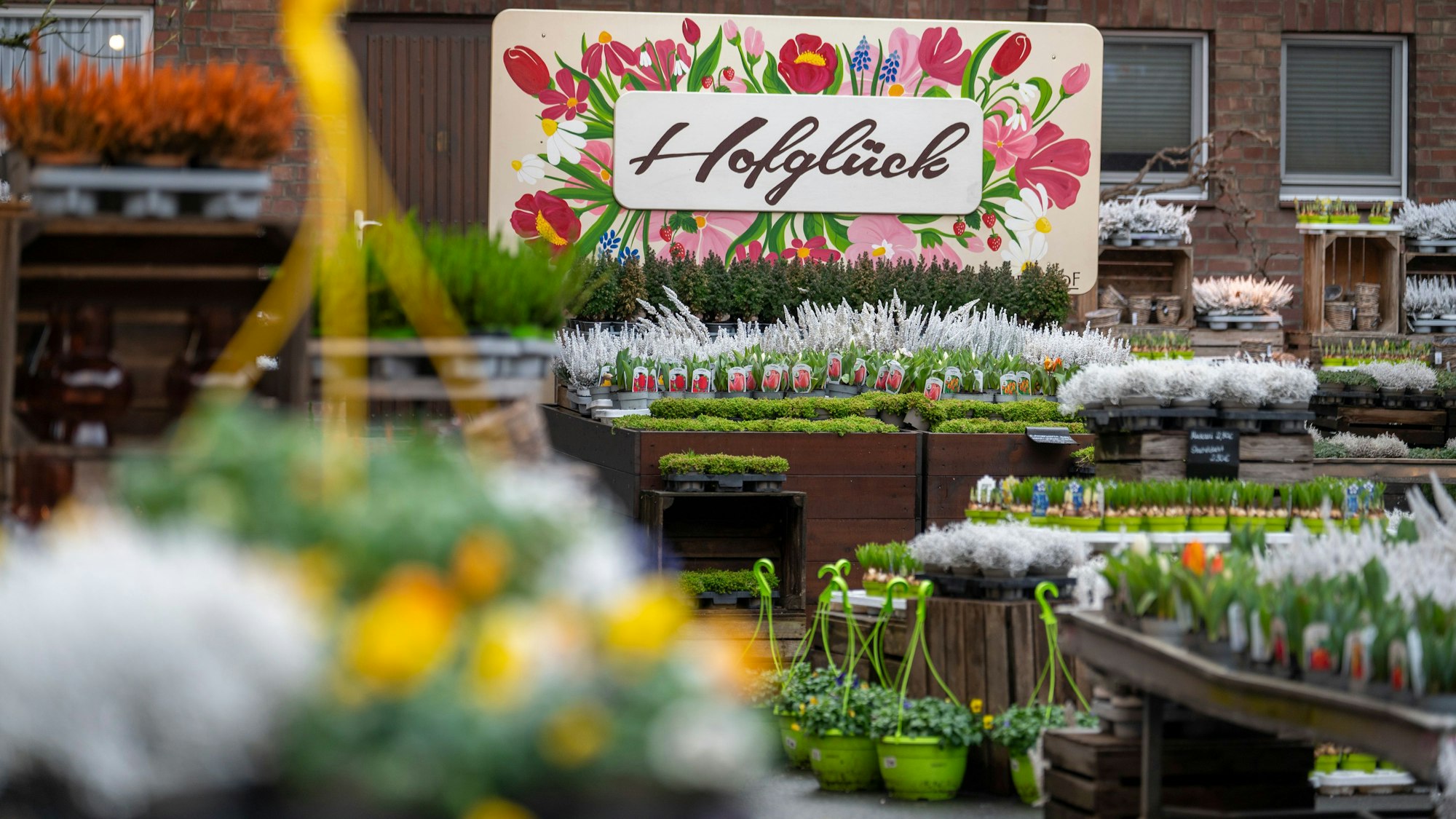 Der Gertrudenhof bietet auch Pflanzen zum Verkauf.