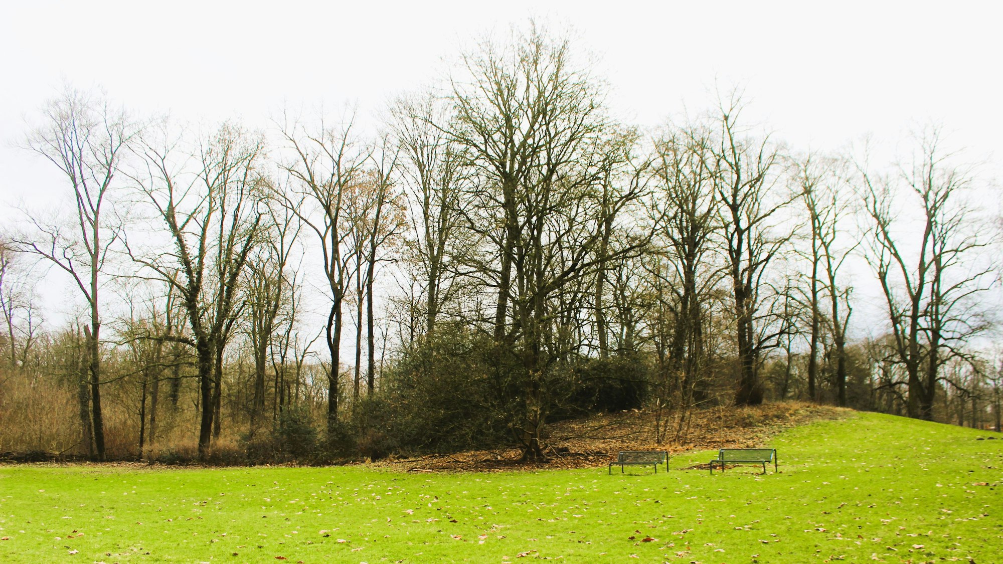 Der Hügel im Stadtwald besteht möglicherweise aus den Trümmern der Stadtwaldschenke.