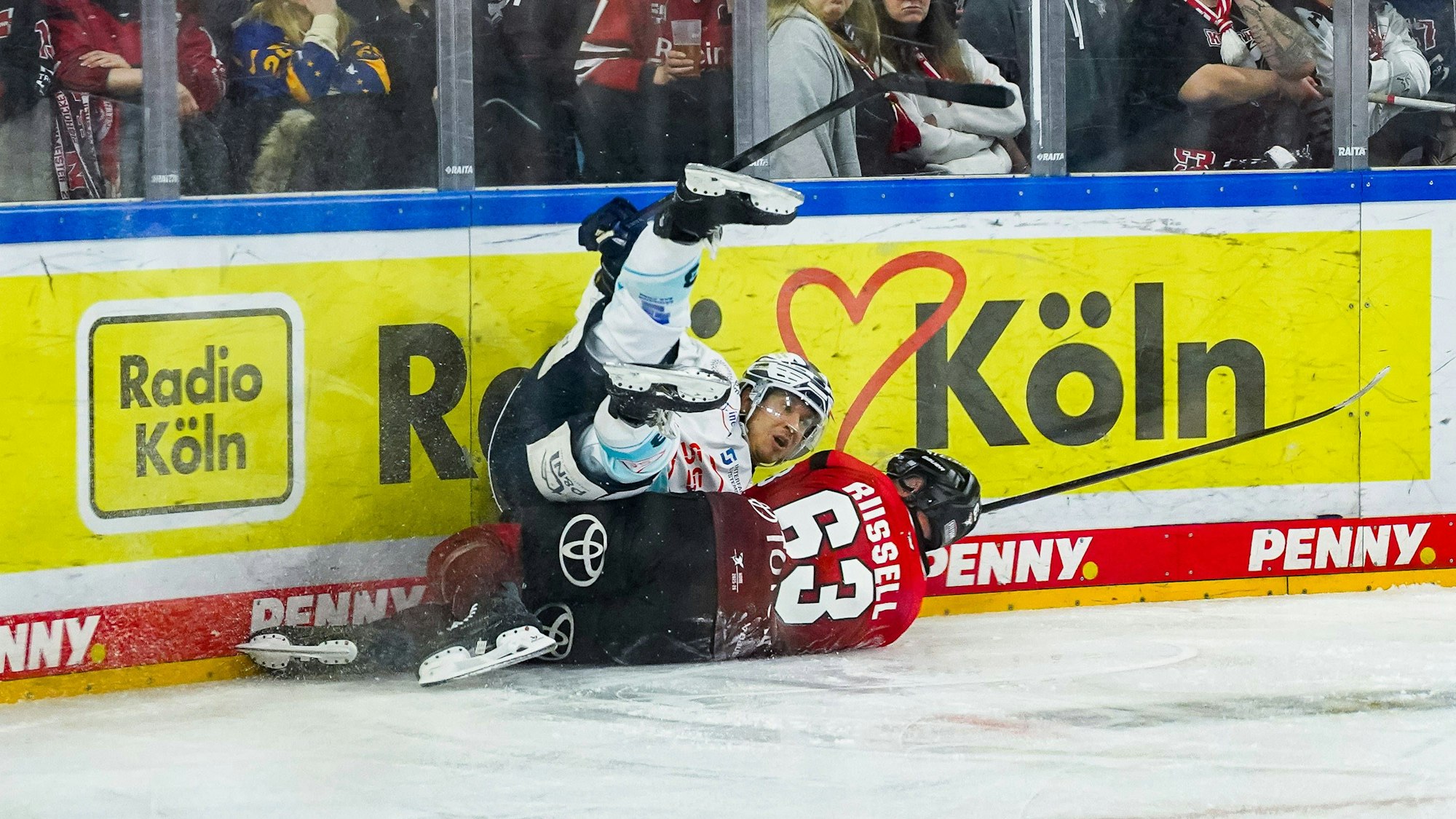 Zweikampf an der Bande beim Spiel der Kölner Haie gegen Dresden.