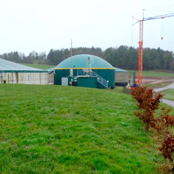 Landwirt Helmut Dahmen aus Lorbach steht auf einer Wiese, im Hintergrund ist eine Biogasanlage zu sehen.