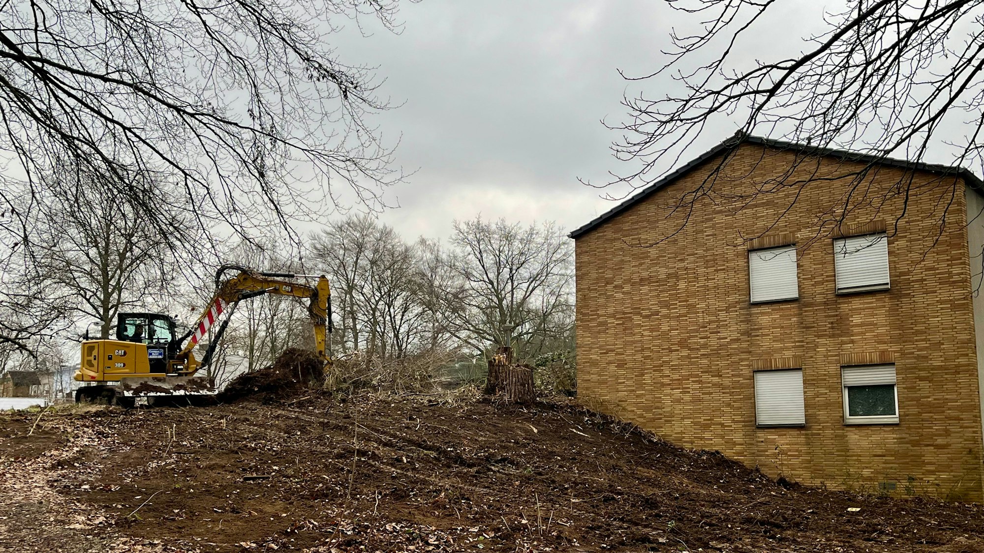 Bagger auf Die Baufirma rodet aktuell Rodungen, bevor ab 1. März die Schonfrist das verbietet.