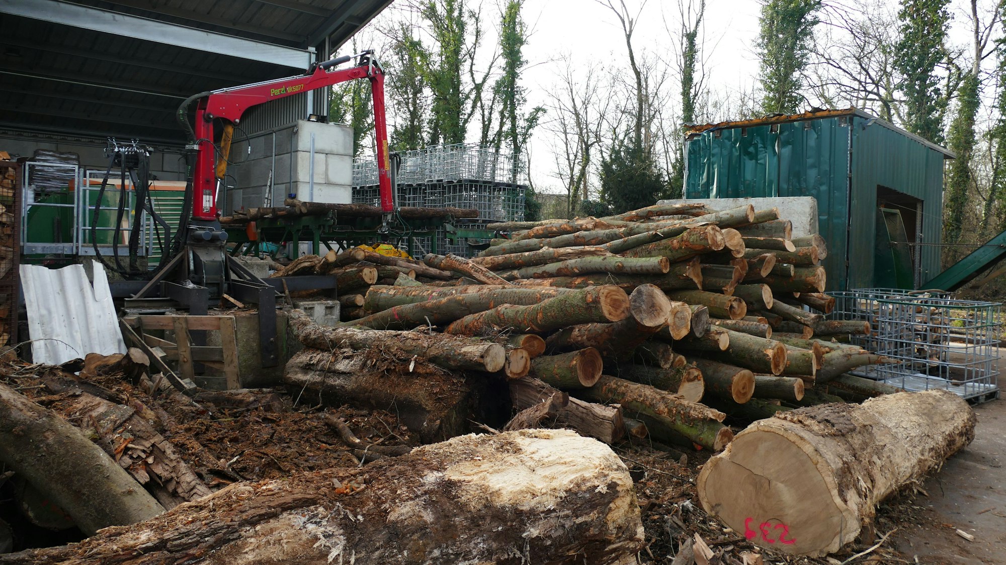 Diese Stämme werden auf dem Gelände von Kaminholz Siebengebirge zu Brennholz zersägt.