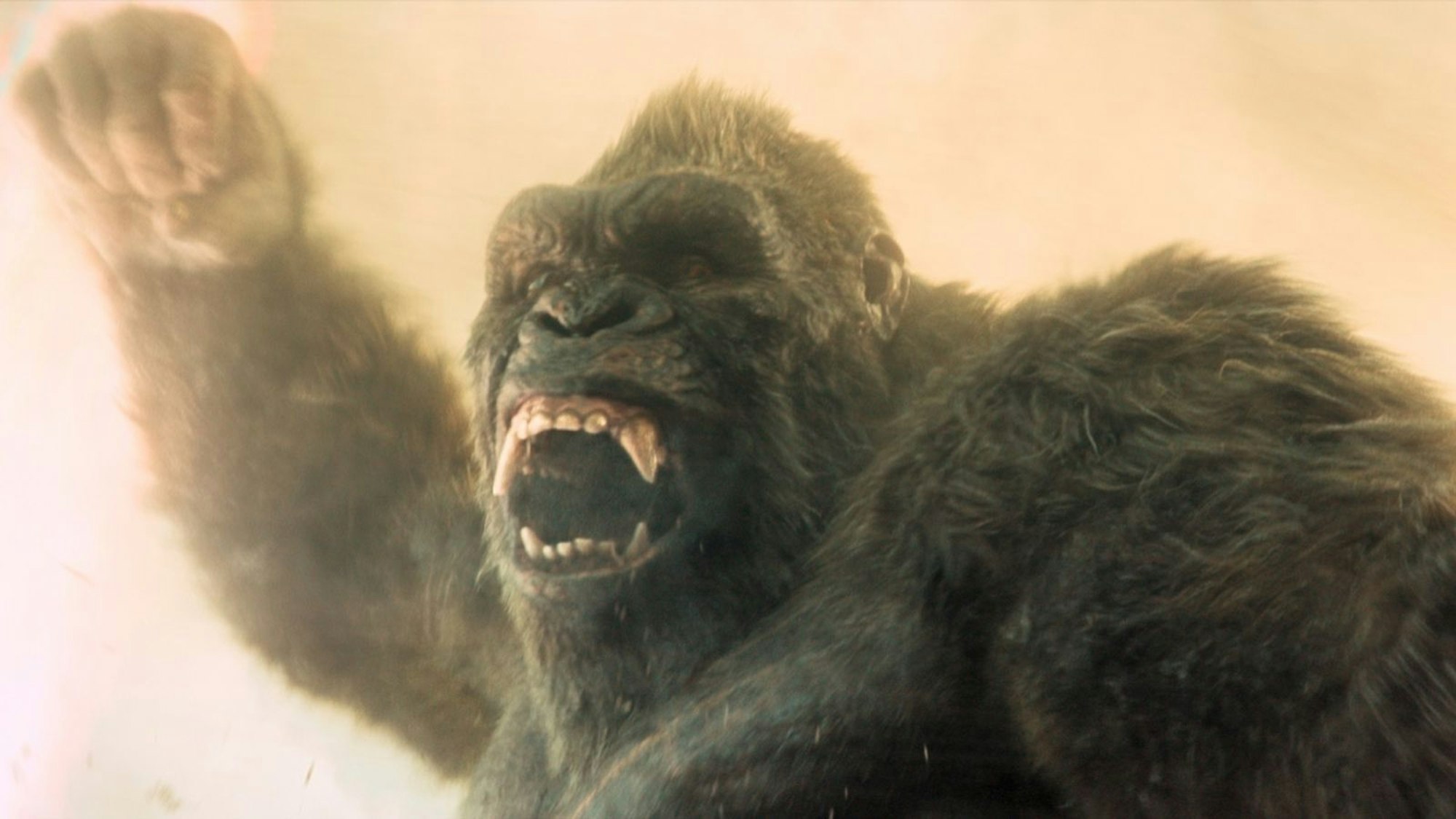 Kong hat in der zweiten Staffel von „Monarch: Legacy of Monsters“ noch schlechtere Laune als sonst. (Bild: Apple TV )