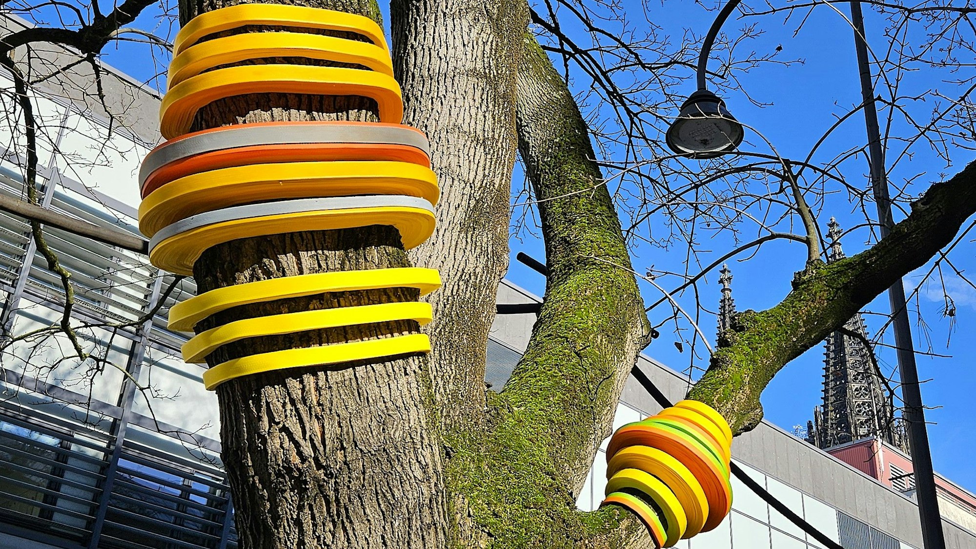 Um einen Baum sind gelbe und orangefarbene Bänder gewickelt.