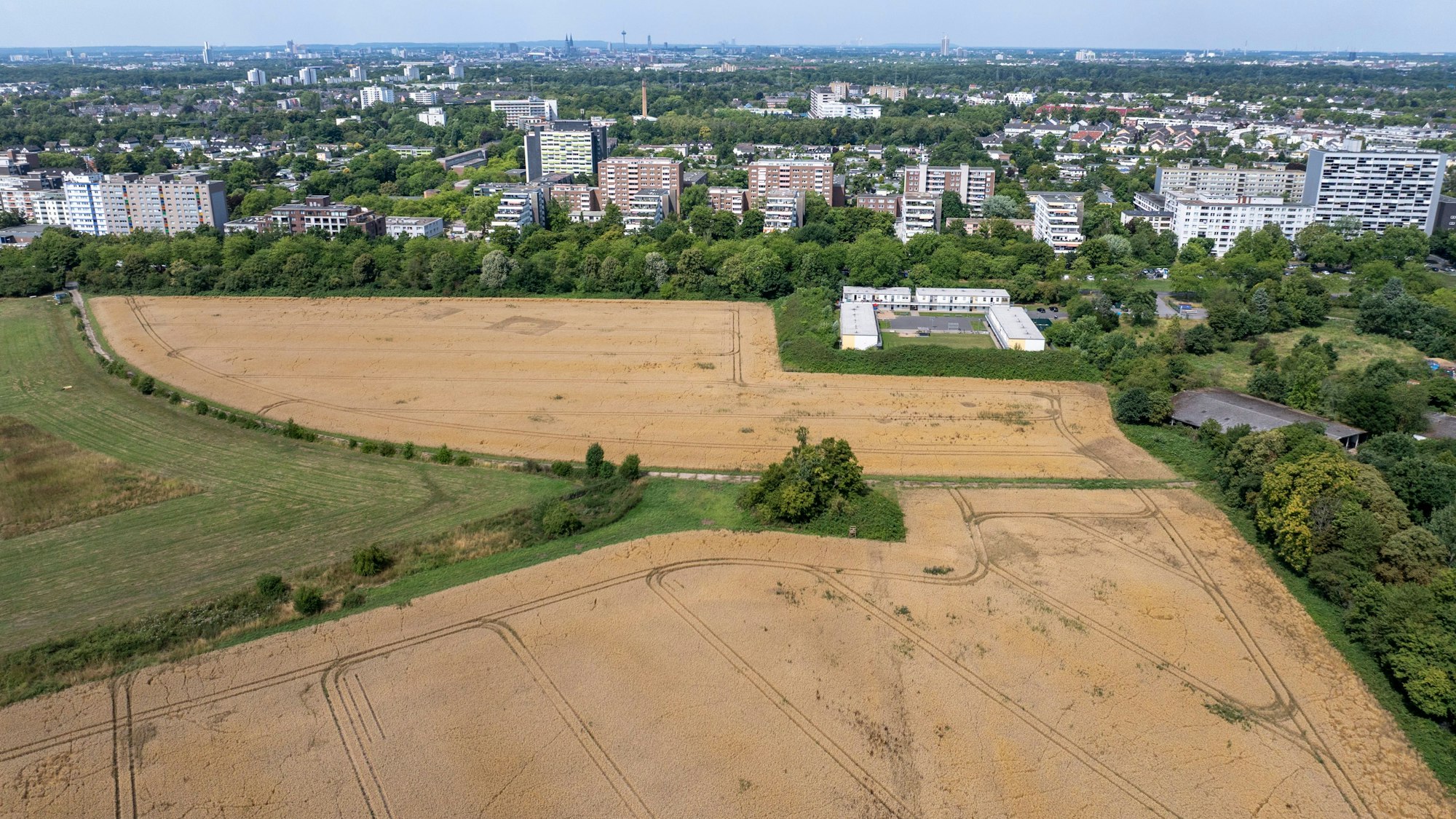 Auf dieser Fläche am Neubrücker Ring wurden die beiden Weltkriegsbomben gefunden. Hier soll ein neues Wohnviertel entstehen.