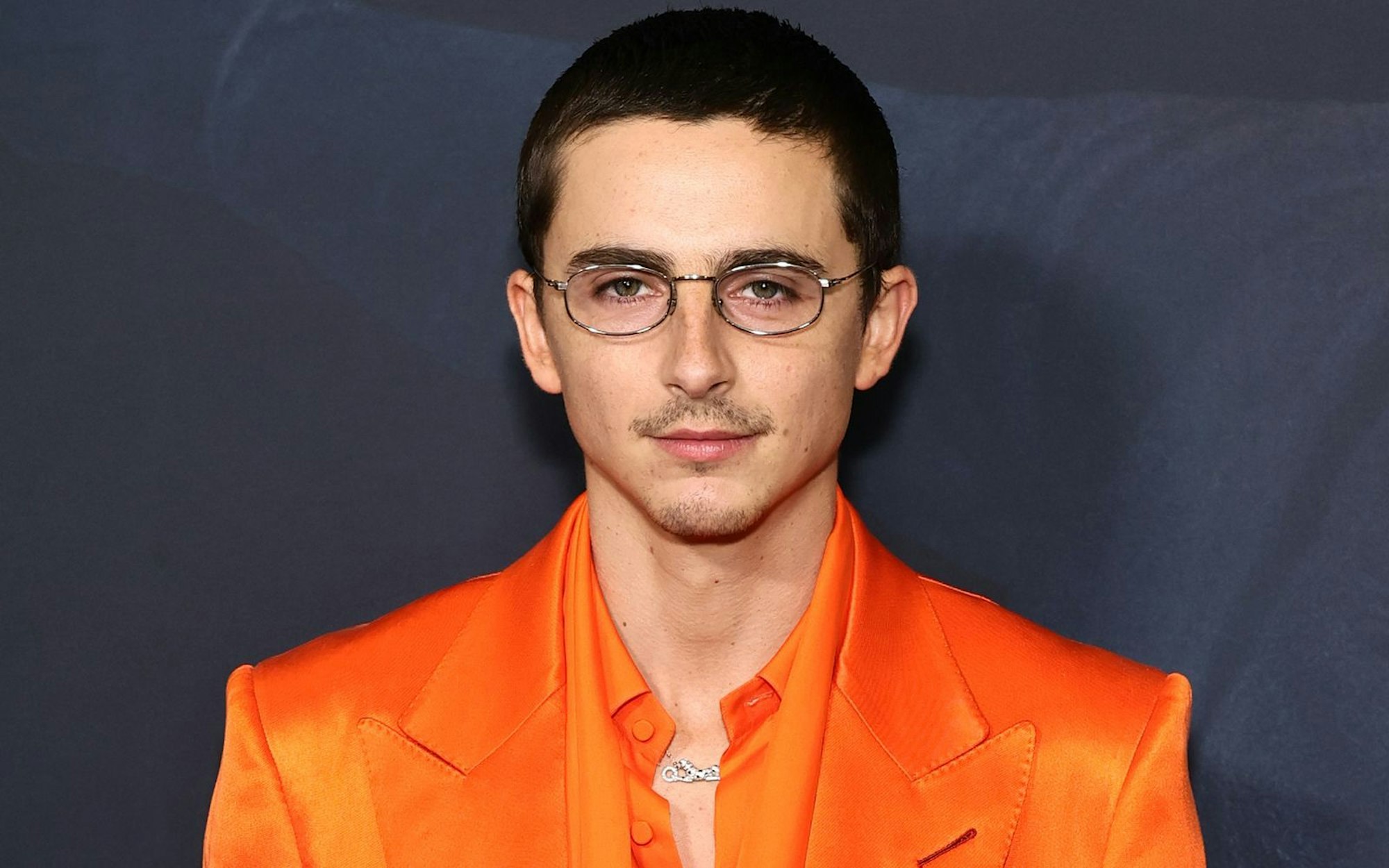 Der große Star von „Marty Supreme“ ist indes Hauptdarsteller Timothée Chalamet, der mit seiner Leistung als Tischtennis-Profi eine Oscar-Nominierung erspielt hat. (Bild: 2025 Getty Images/Theo Wargo)