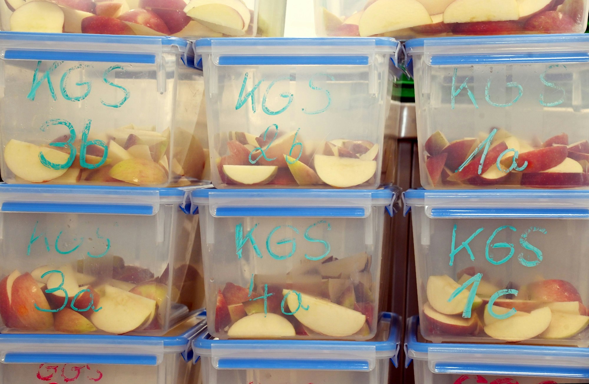 Die Obstkisten in der Mensa