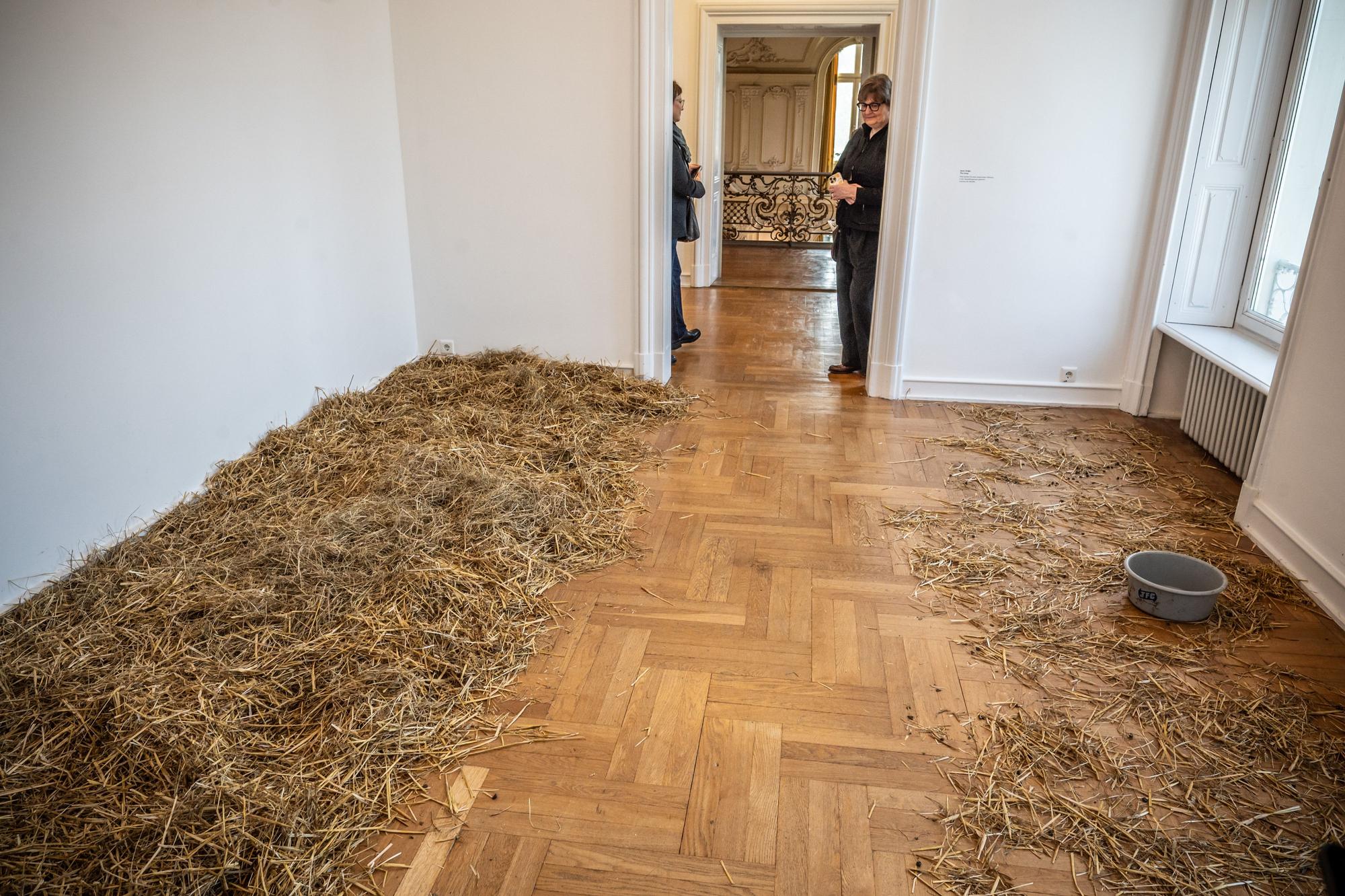 Museum Morsbroich Ausstellung Chained to the Rhythm, Von Mensch und Natur Bild: Ralf Krieger