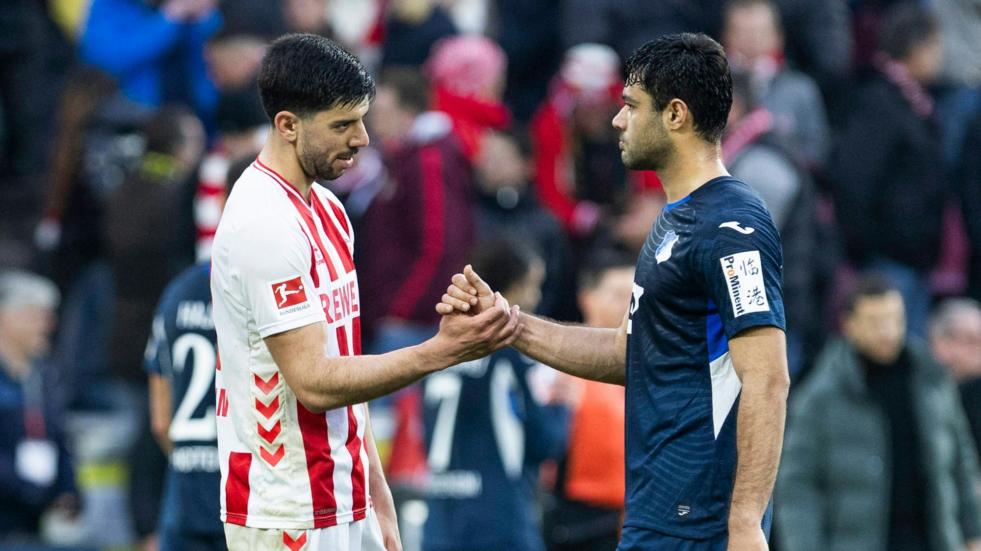 COLOGNE, GERMANY - FEBRUARY 21: Cenk Oezkacar Özkacar, Ozkacar, 1. FC Koeln, 39 and Ozan Kabak TSG 1899 Hoffenheim, 5 shake hands after the Bundesliga match between 1. FC Koeln vs. TSG 1899 Hoffenheim on matchday 23 at RheinEnergie-Stadion on February 21st, 2026 in Cologne, Germany. DFL regulations prohibit any use of photographs as image sequences and/or quasi-video NRW Germany Copyright: xBEAUTIFULxSPORTS/JulianxMeuselx