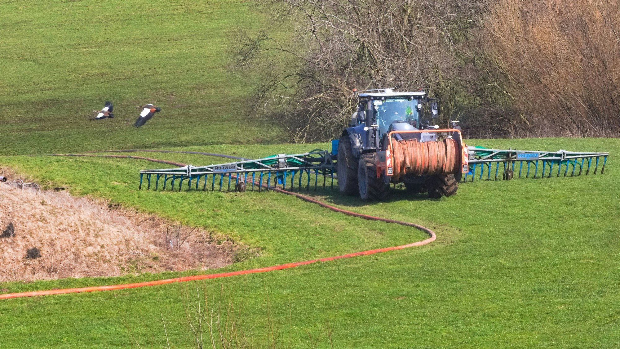 Foto eines Traktors, der mit speziellen Schläuchen Gülle auf einer Wiese verteilt