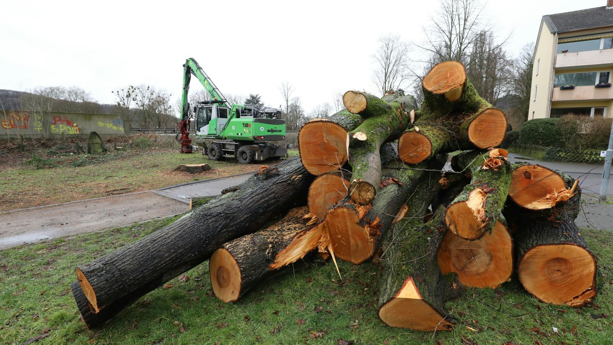 Gefällte Bäume, im Hintergrund ein grüner Bagger.