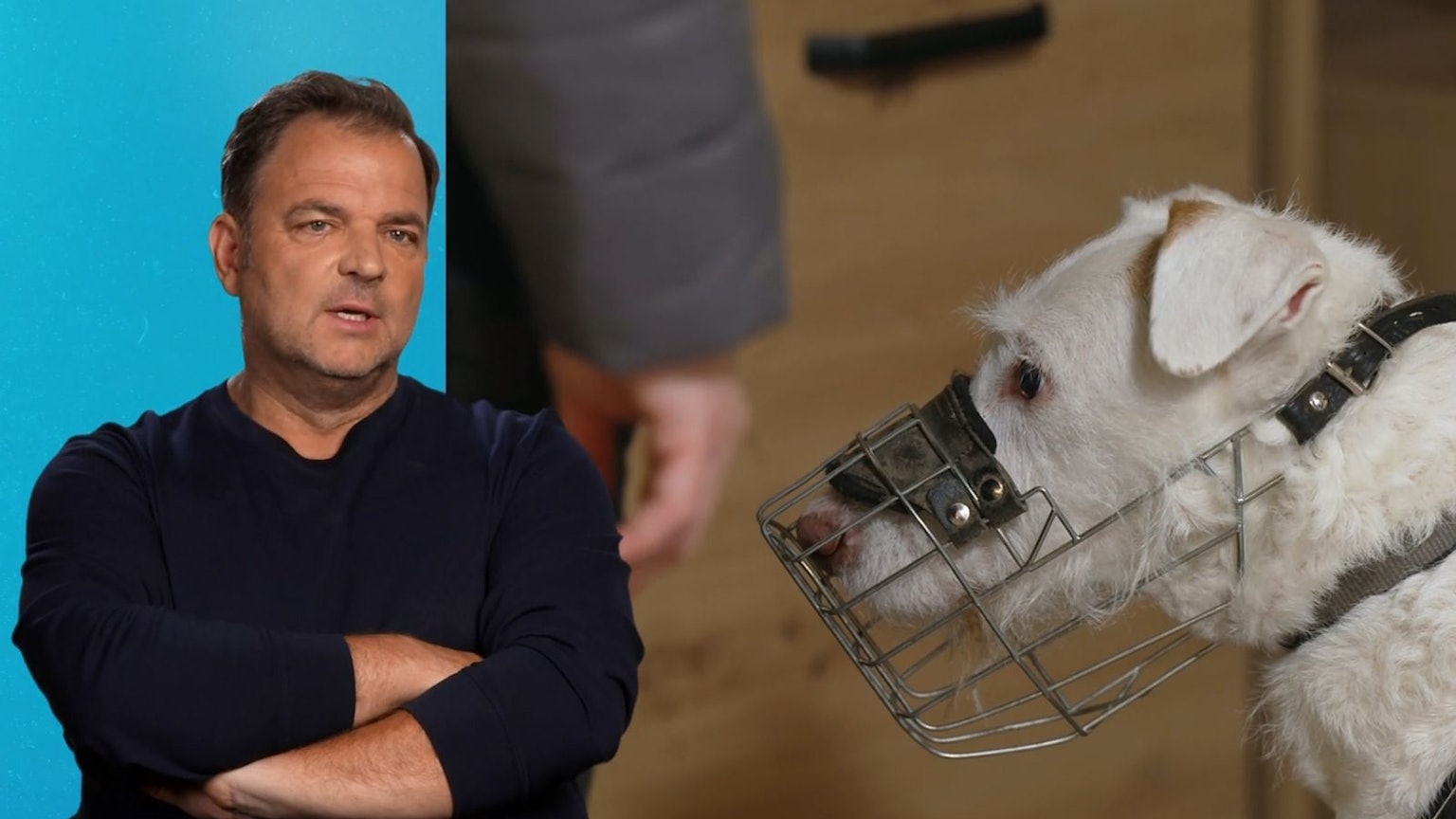 Martin Rütter hofft, dass Elvis' neue Halter ihn nicht unterschätzen. (Bild: RTL)