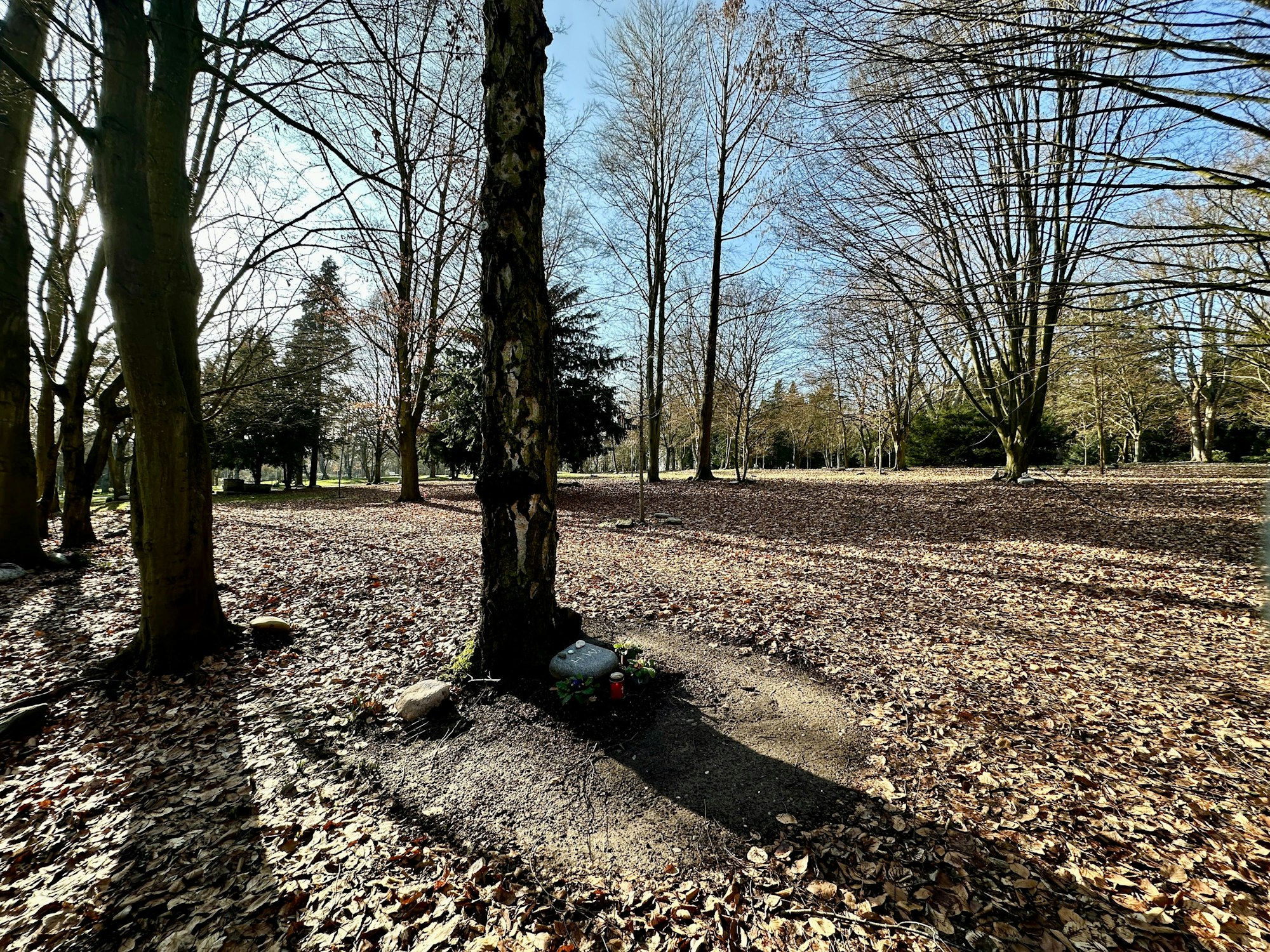 Unter großen Bäumen sind dezente Grabstätten.