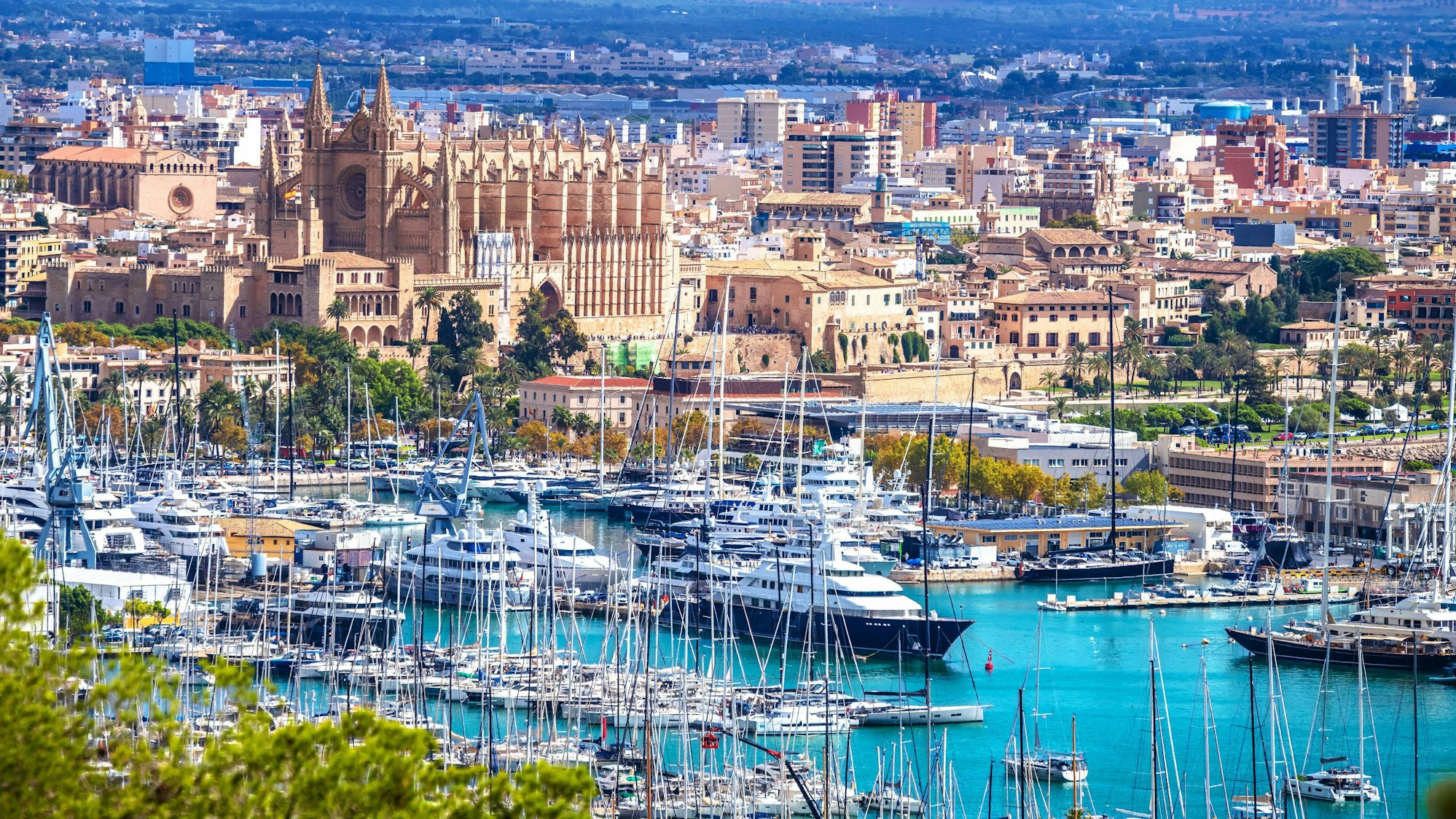 Im Hafen von Palma de Mallorca liegen auch viele Luxusjachten.