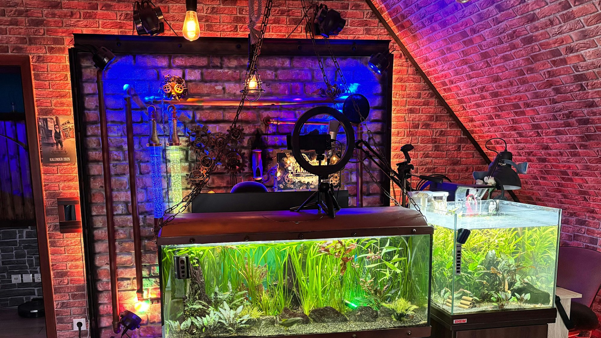 Hinter zwei Aquarien ist das Setup zu sehen, in dem Andreas Smeja als „Park Tube“ Videos rund um das Thema Freizeitparks streamt.