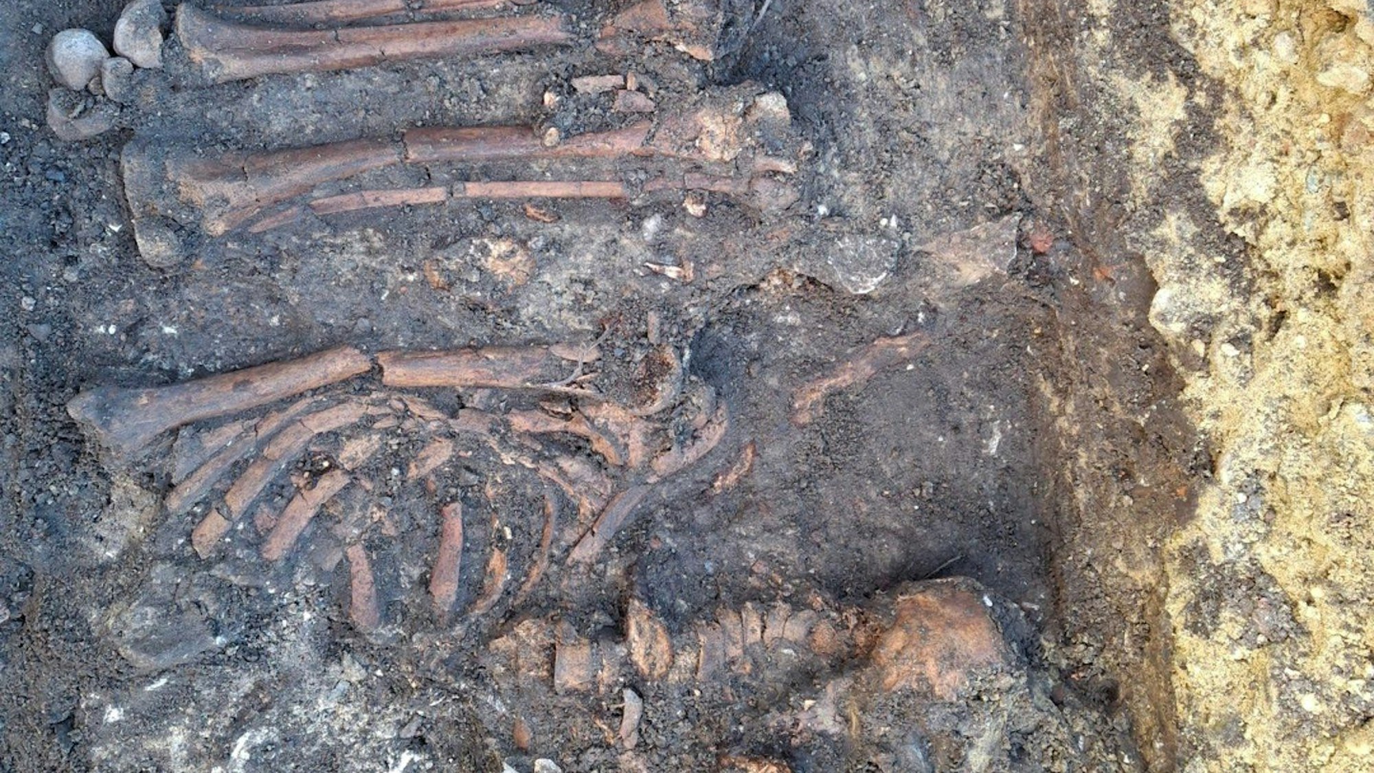 Die Gräber sollen nun nach und nach entnommen und analysiert werden.