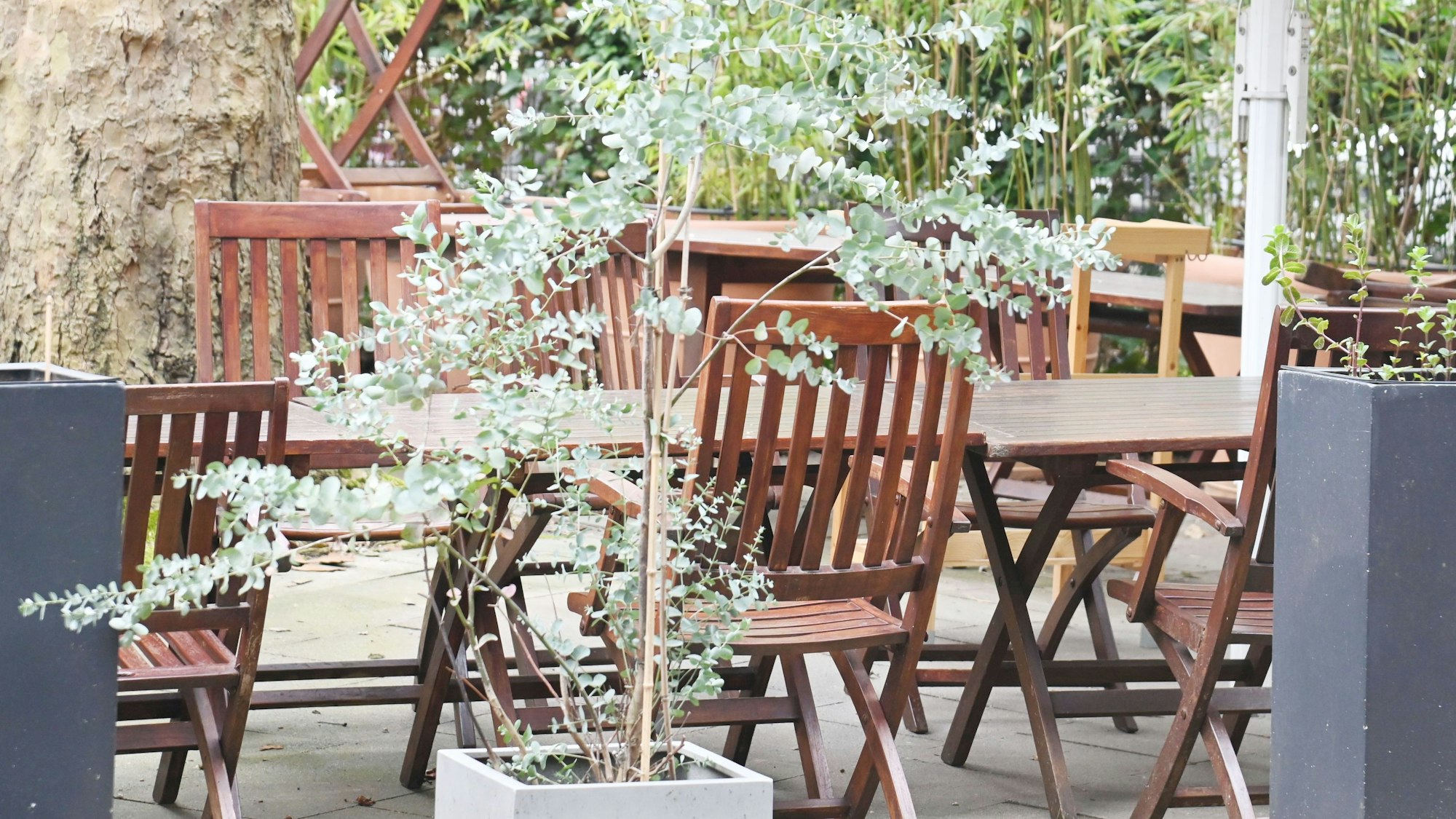 Holztische und Pflanzen auf der Terrasse.