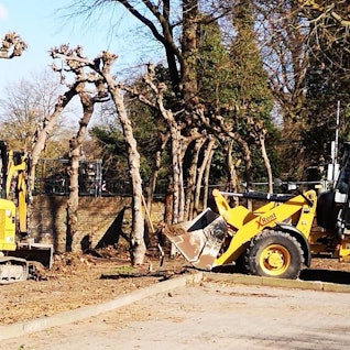 Ein Radlader und ein kleiner Bagger stehen nah an Bäumen.