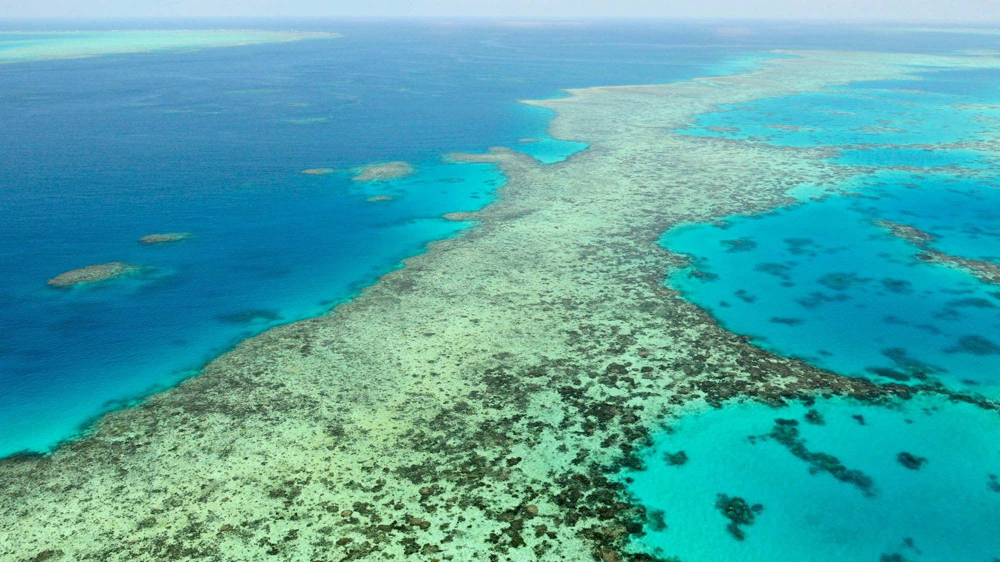 Das Great Barrier Reef gehört zu den größten Naturwundern der Erde - Haiangriffe sind hier aber selten. (Archivbild)