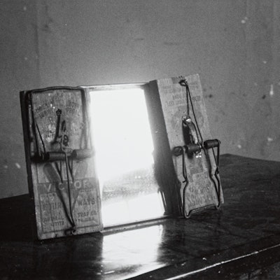 Ein Spiegel mit zwei Mausefallen steht auf einer Anrichte.