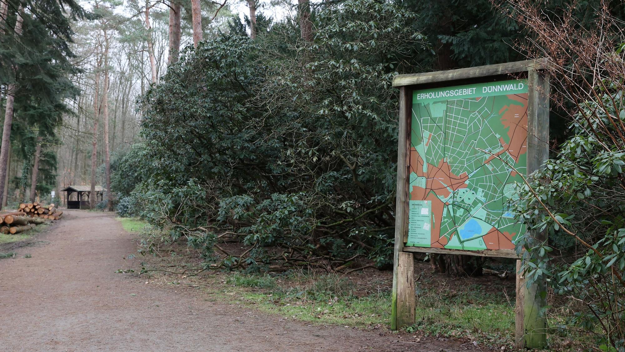 31.01.2024
Köln:
Der Wildpark Dünnwald ist ein beliebtes Ausflugsziel.
Foto: Martina Goyert