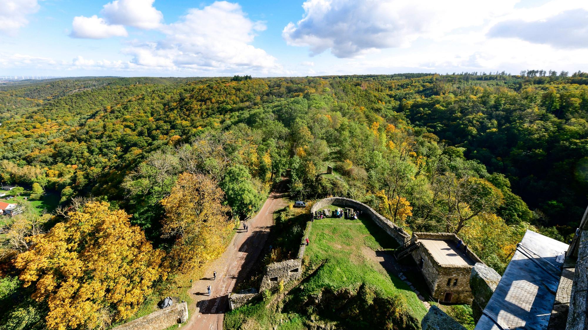 Blick über den Harz in Sachsen-Anhalt.