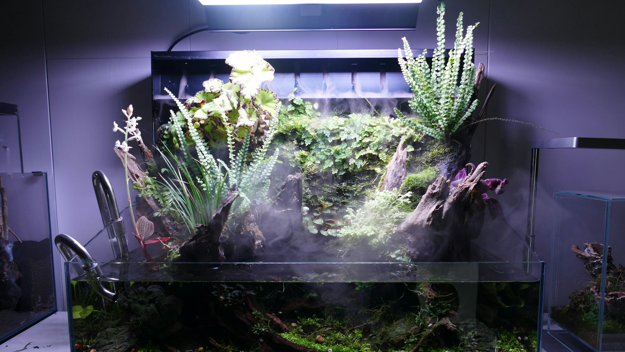 Blick auf das Aquarium.