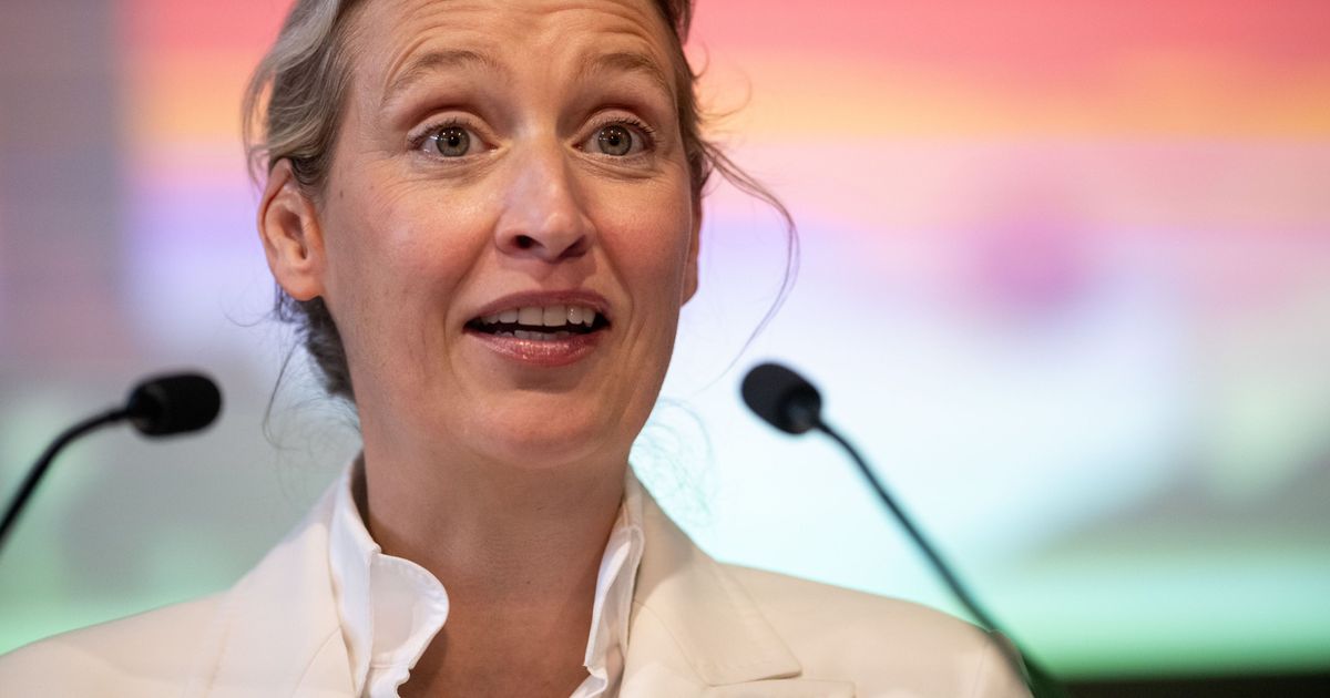 Alice Weidel nutzt AfD-Parteitag in NRW für Attacke - Proteste in Marl