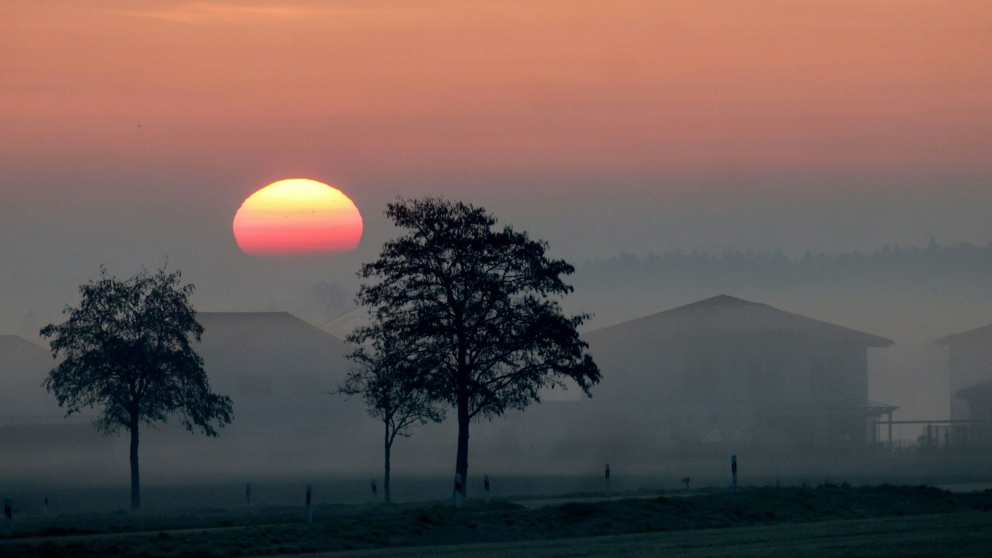 Die Sonne geht am Morgen hinter Bäumen auf. In der Luft liegt Saharastaub.