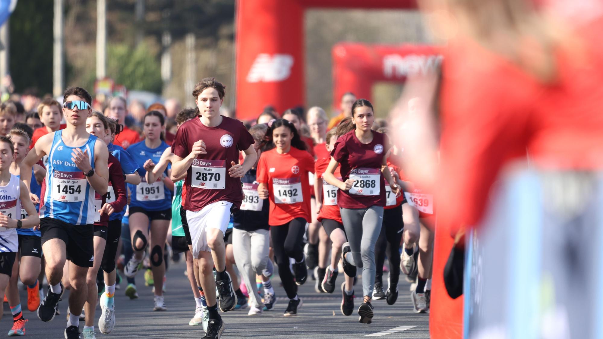 Das Starterfeld beim 44. Straßenlauf „Rund um das Bayer-Kreuz“