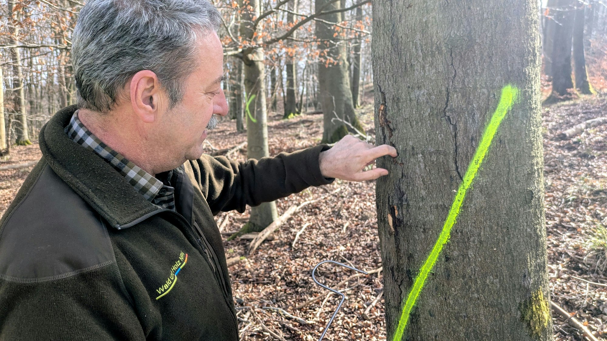 Christian Düll ist Baumkontrolleur im Nationalpark Eifel und zeigt Schäden an einer Buche, die mit gelber Sprühfarbe markiert ist und gefällt werden muss.