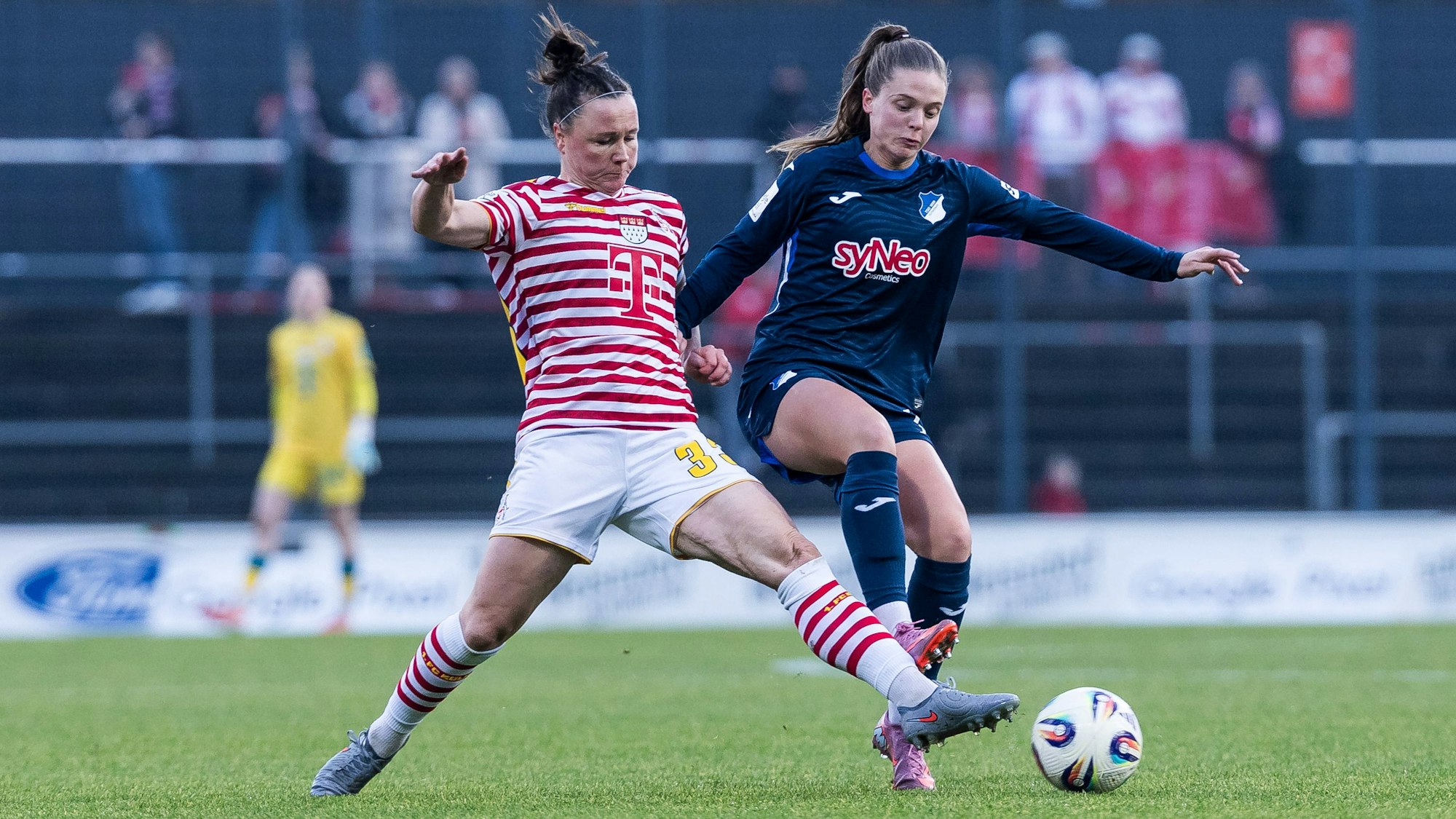 GOOGLE PIXEL Frauen Bundesliga: 1. FC Köln - TSG 1899 Hoffenheim 09.11.2025 Zweikampf Marina Hegering 1. FC Köln, 33, Valesca Ampoorter TSG Hoffenheim, 18 GOOGLE PIXEL Frauen Bundesliga, 1. FC Köln - TSG 1899 Hoffenheim, Köln, Franz-Kremer-Stadion am 09.11.2025 DFB REGULATIONS PROHIBIT ANY USE OF PHOTOGRAPHS AS IMAGE SEQUENCES AND/OR QUASI-VIDEO. *** GOOGLE PIXEL Frauen Bundesliga 1 FC Köln TSG 1899 Hoffenheim 09 11 2025 Zweikampf Marina Hegering 1 FC Köln, 33 , Valesca Ampoorter TSG Hoffenheim, 18 GOOGLE PIXEL Frauen Bundesliga, 1 FC Köln TSG 1899 Hoffenheim, Köln, Franz Kremer Stadion am 09 11 2025 DFB REGULATIONS PROHIBIT ANY USE OF PHOTOGRAPHS AS IMAGE SEQUENCES AND OR QUASI VIDEO Copyright: xBEAUTIFULxSPORTS/Wunderlx