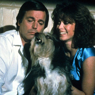 Robert Wagner und Stefanie Powers alias Jonathan und Jennifer Hart mit ihrem Hund Friedwart.
