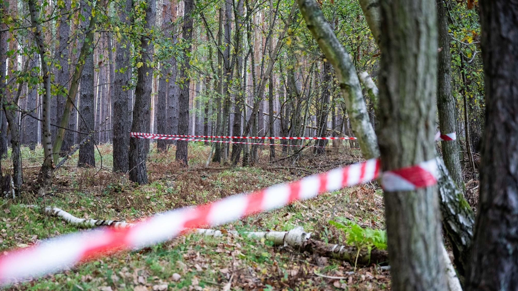In einem Waldstück ist ein Bereich abgesperrt. (Symbolbild)