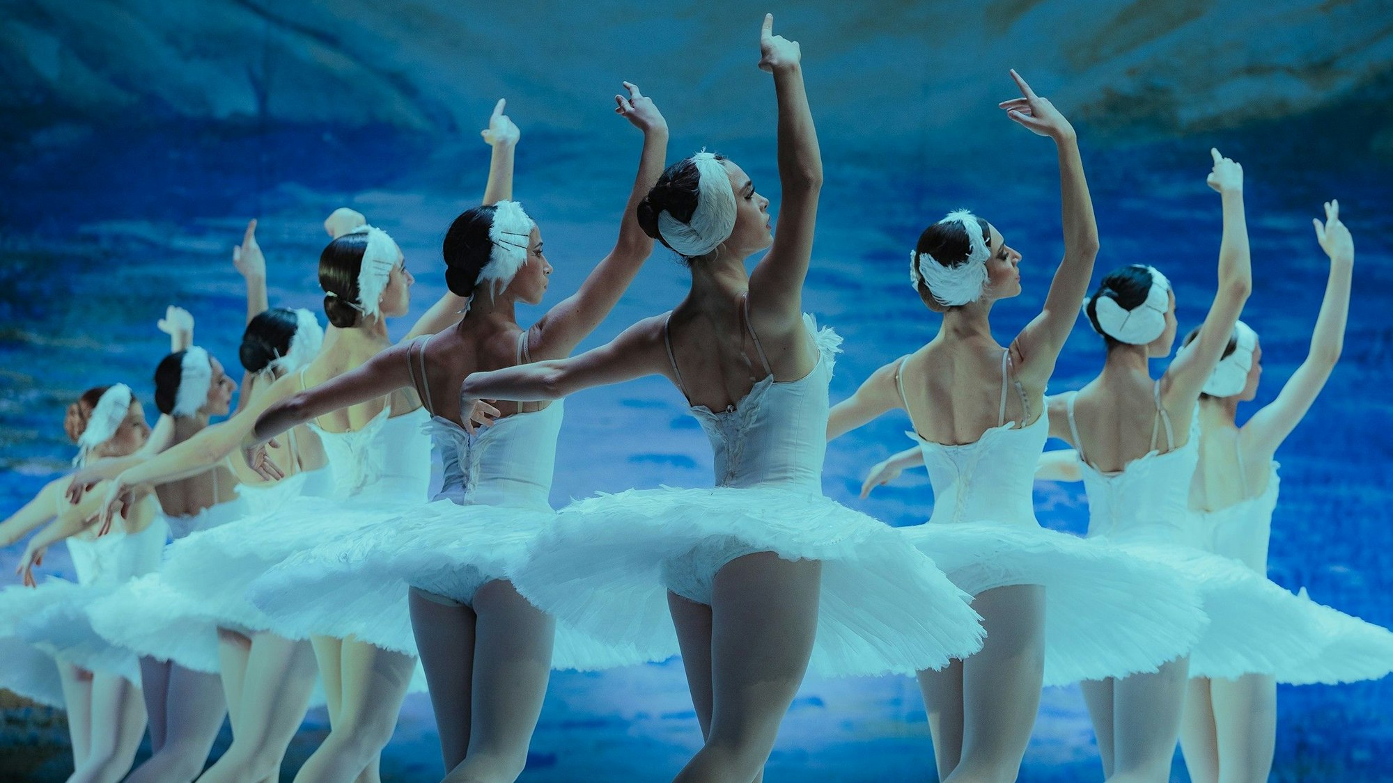 Schwanensee – jenseits der Bühne: Tschaikowskys Meisterwerk hautnah erleben – live begleitet vom Streichquartett in der Volksbühne Köln.