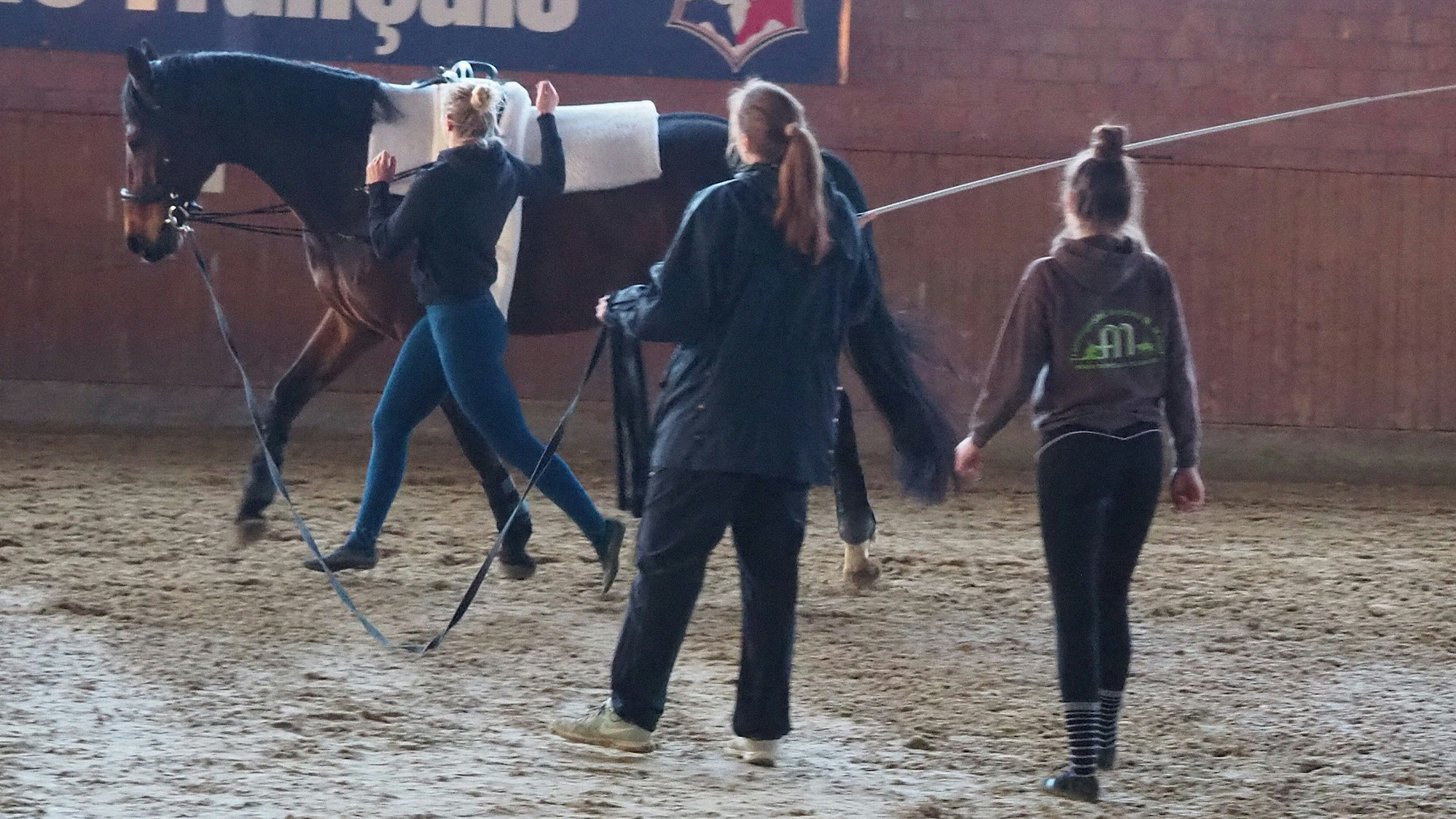Ein Pferd läuft an der Longe in einer Reithalle, ein Mädchen läuft neben ihm. Im Vordergrund stehen die Longenführerin und ein weiteres Mädchen, beide sind von hinten zu sehen.