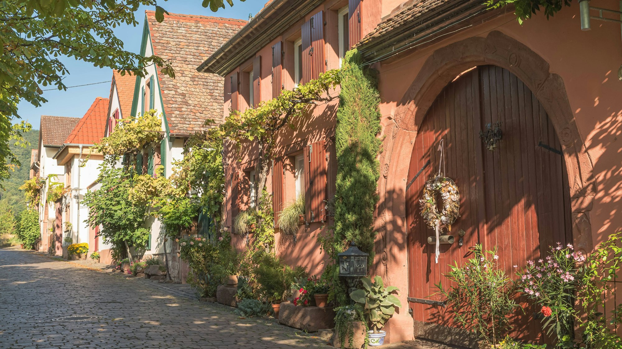 Die Theresienstraße in Rhodt unter Rietburg an der Deutschen Weinstraße gilt als eine der schönsten Gassen der Pfalz.